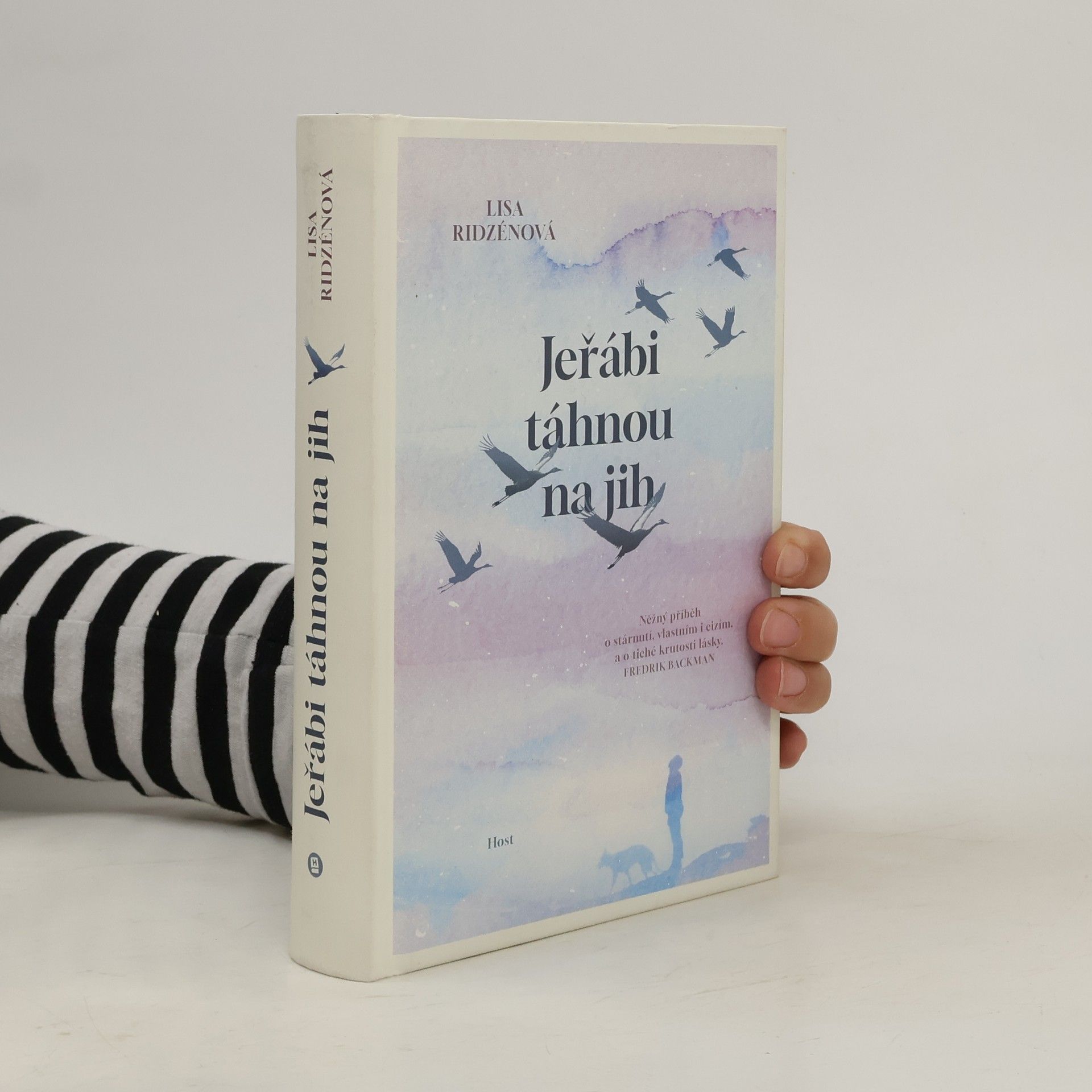 Lisa Ridzén Jeřábi táhnou na jih