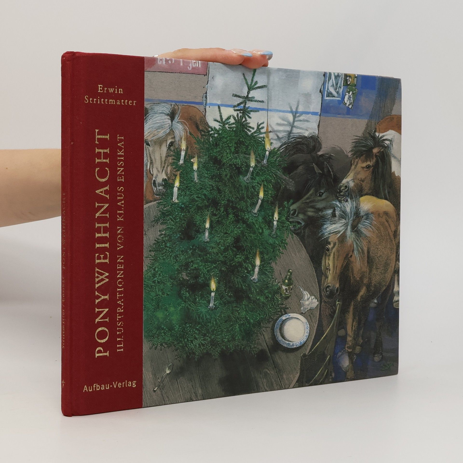 Erwin Strittmatter Ponyweihnacht
