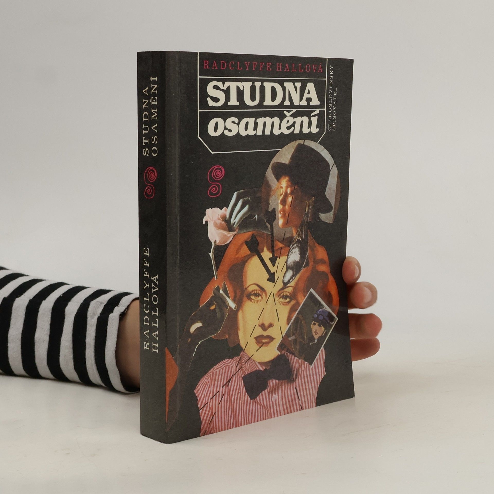 Radclyffe Hall Studna osamění