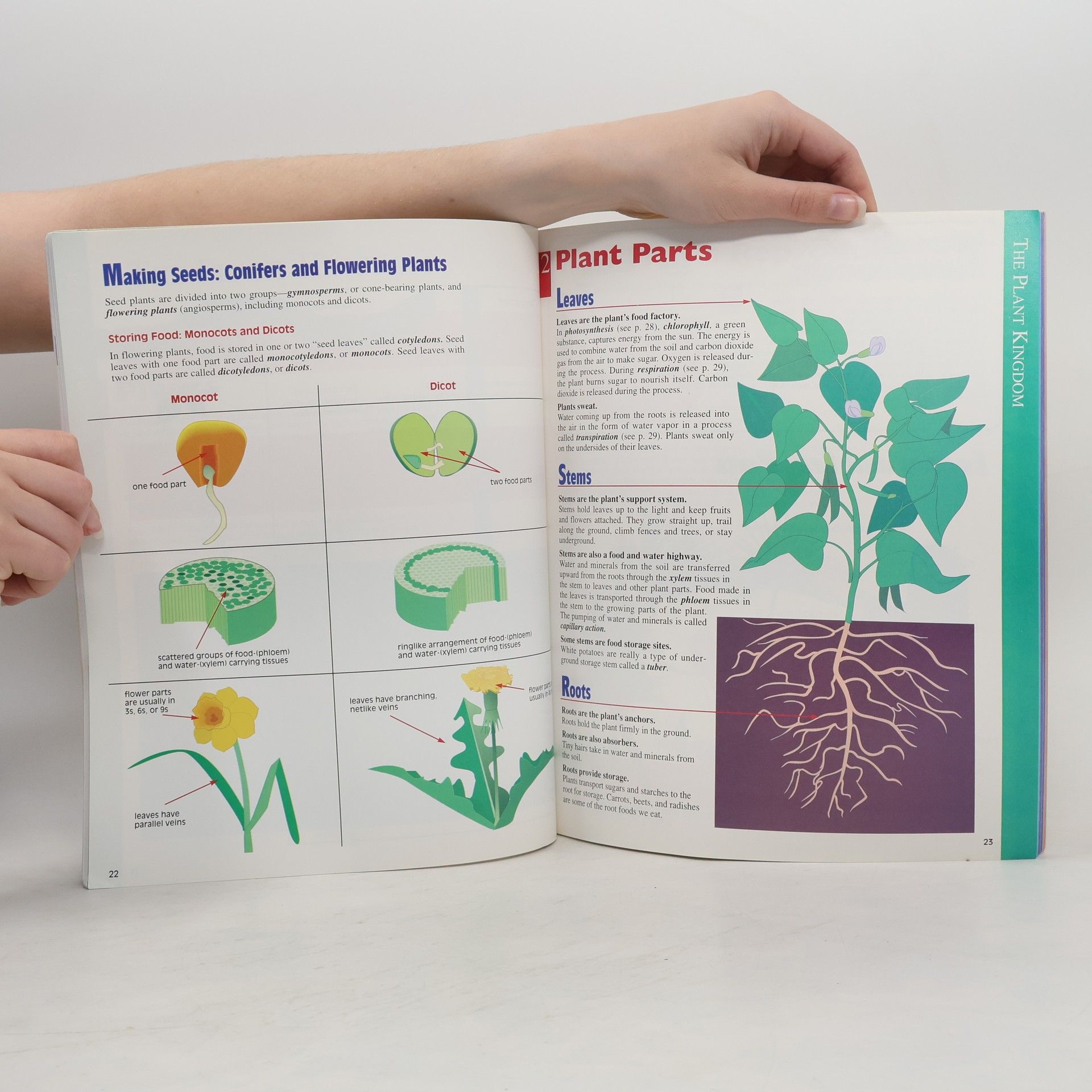 Anne M. Zeman Scholastic Homework Reference Series: Everything You Need to Know About Science Homework