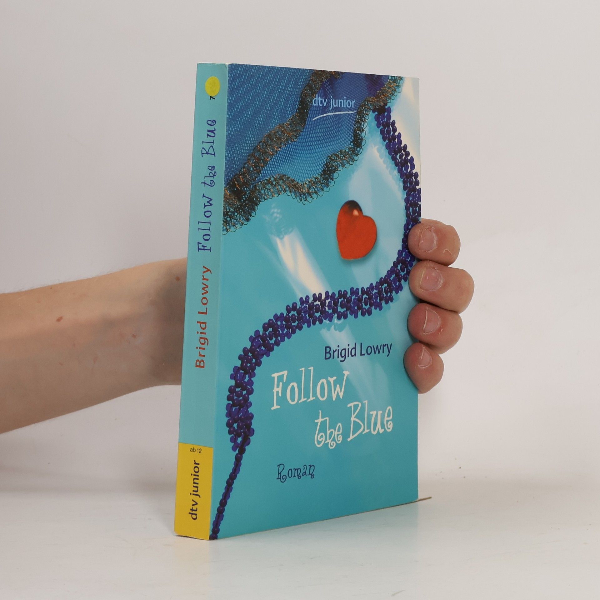 Brigid Lowry Follow the blue