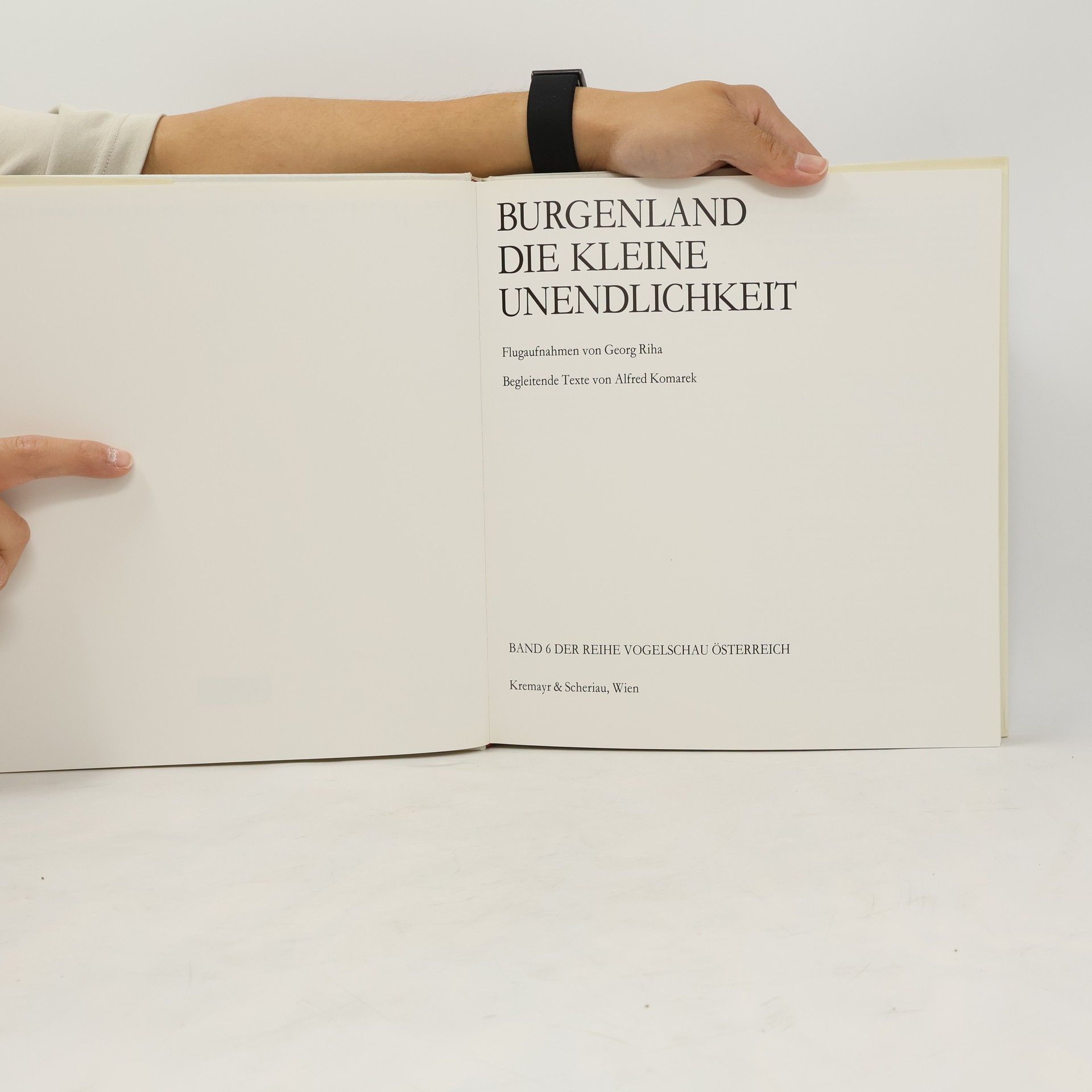 Collectif d'auteurs Burgenland. Die kleine Unendlichkeit
