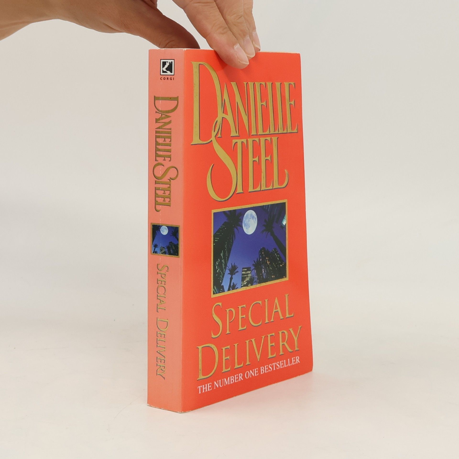 Danielle Steel Special Delivery