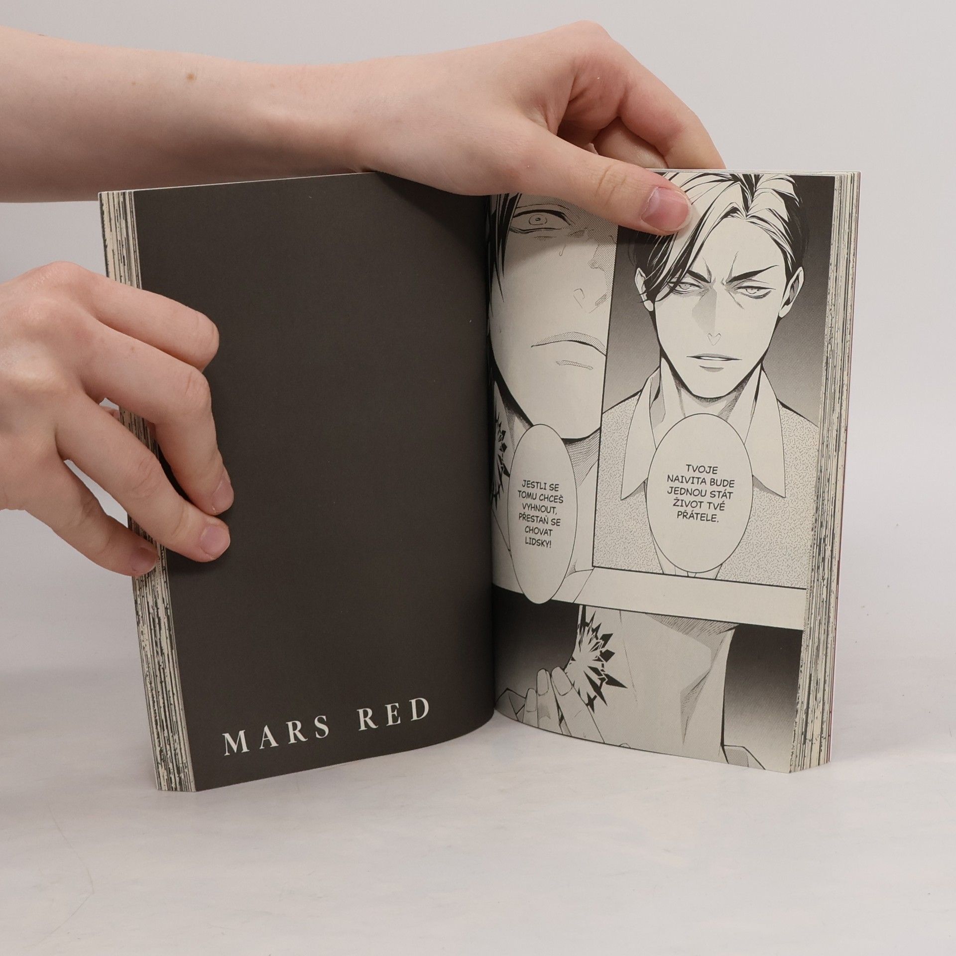 Bun'ō Fujisawa Mars Red 2