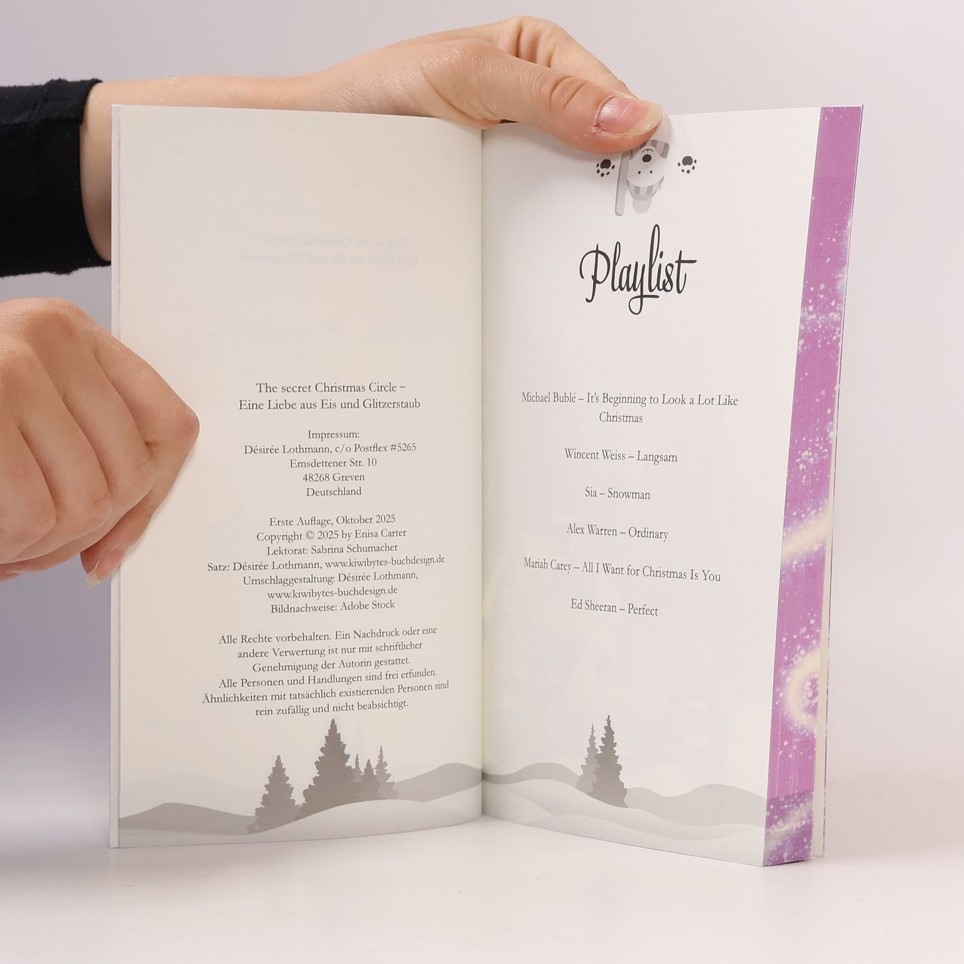 Enisa Carter The secret Christmas Circle: Eine Liebe aus Eis und Glitzerstaub