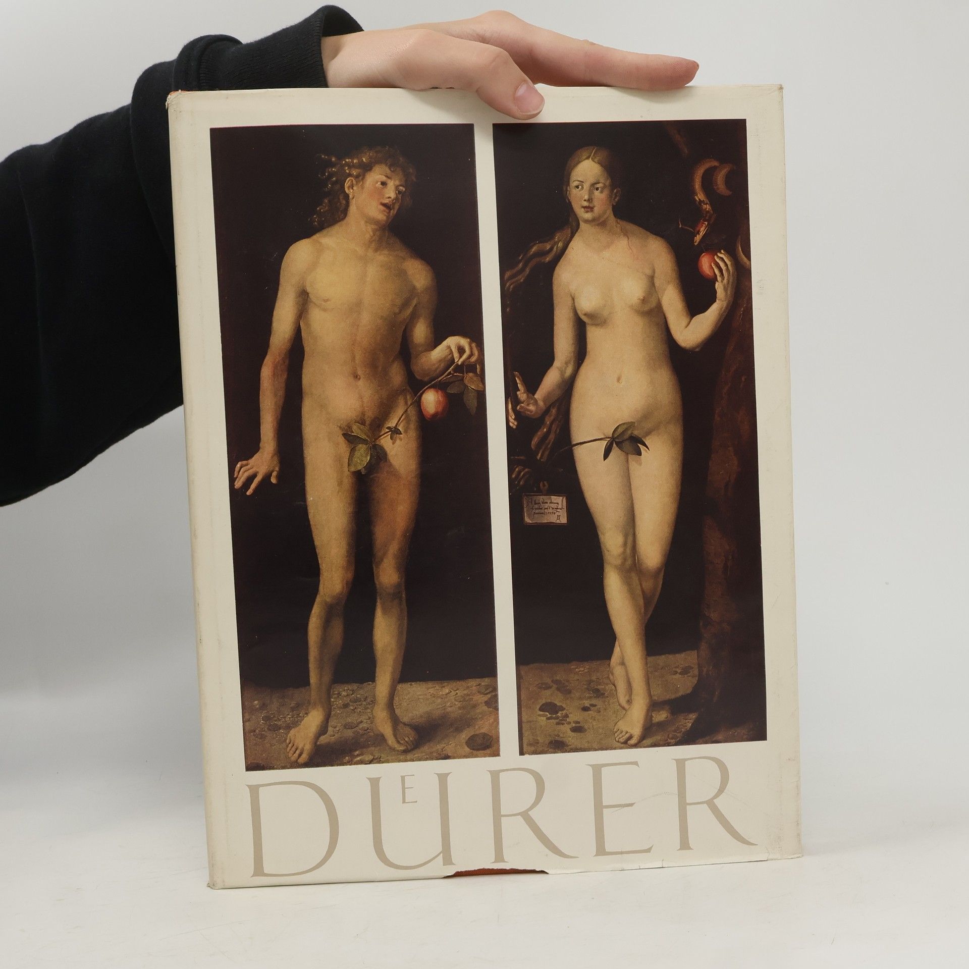 Heinz Lüdecke Albrecht Dürer