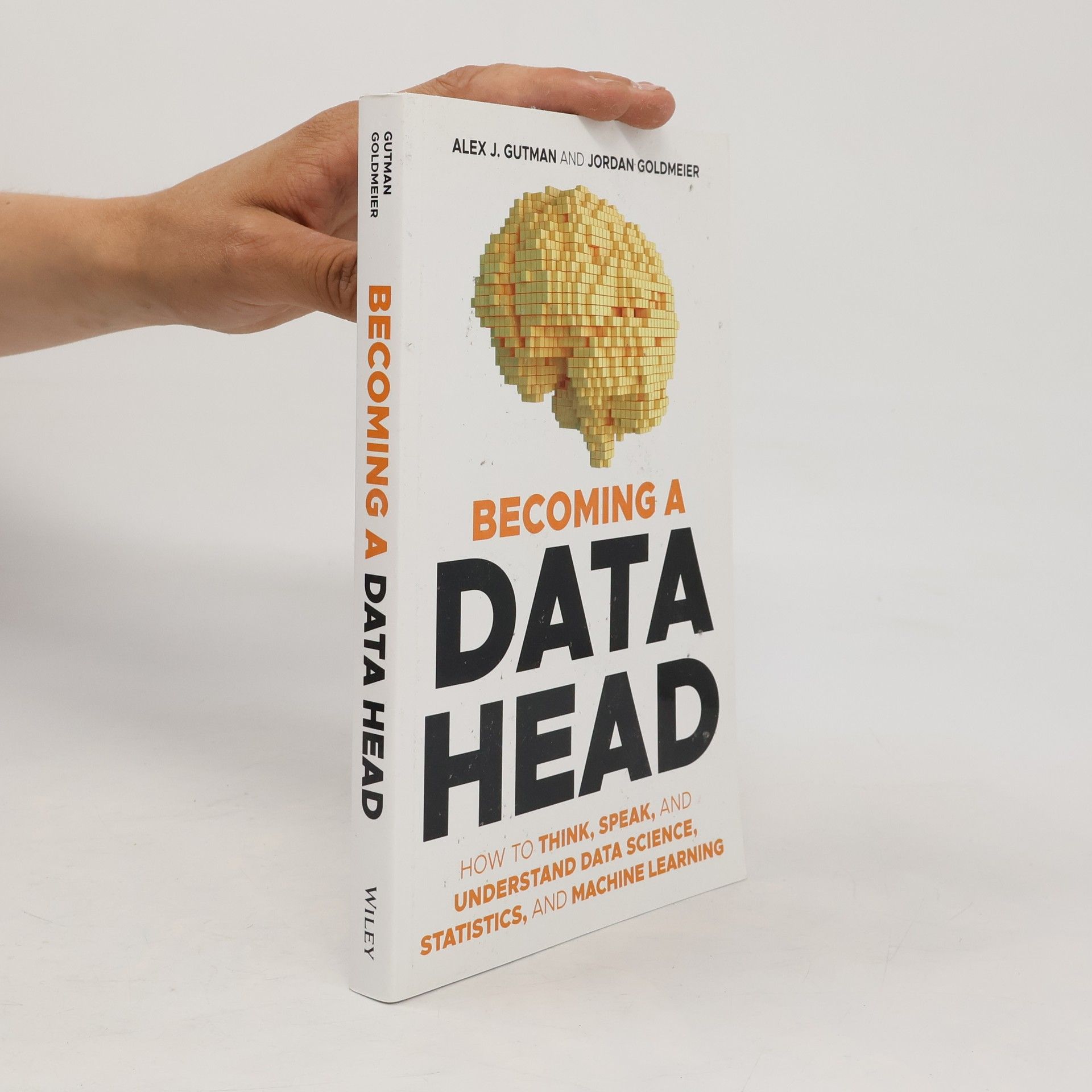 Jordan Goldmeier Becoming a Data Head