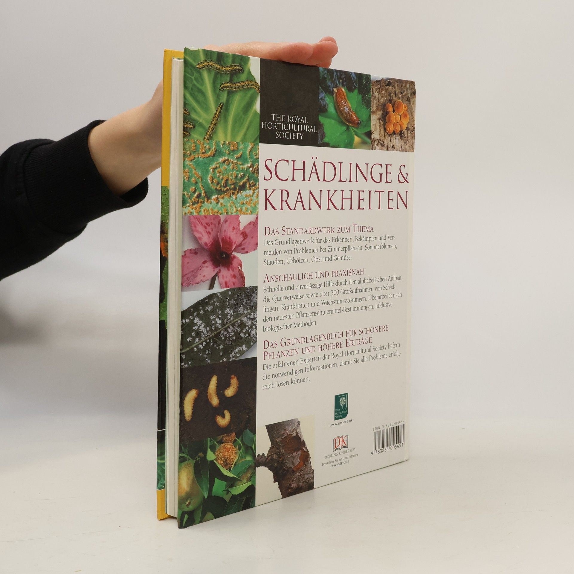 Pippa Greenwood Schädlinge & Krankheiten