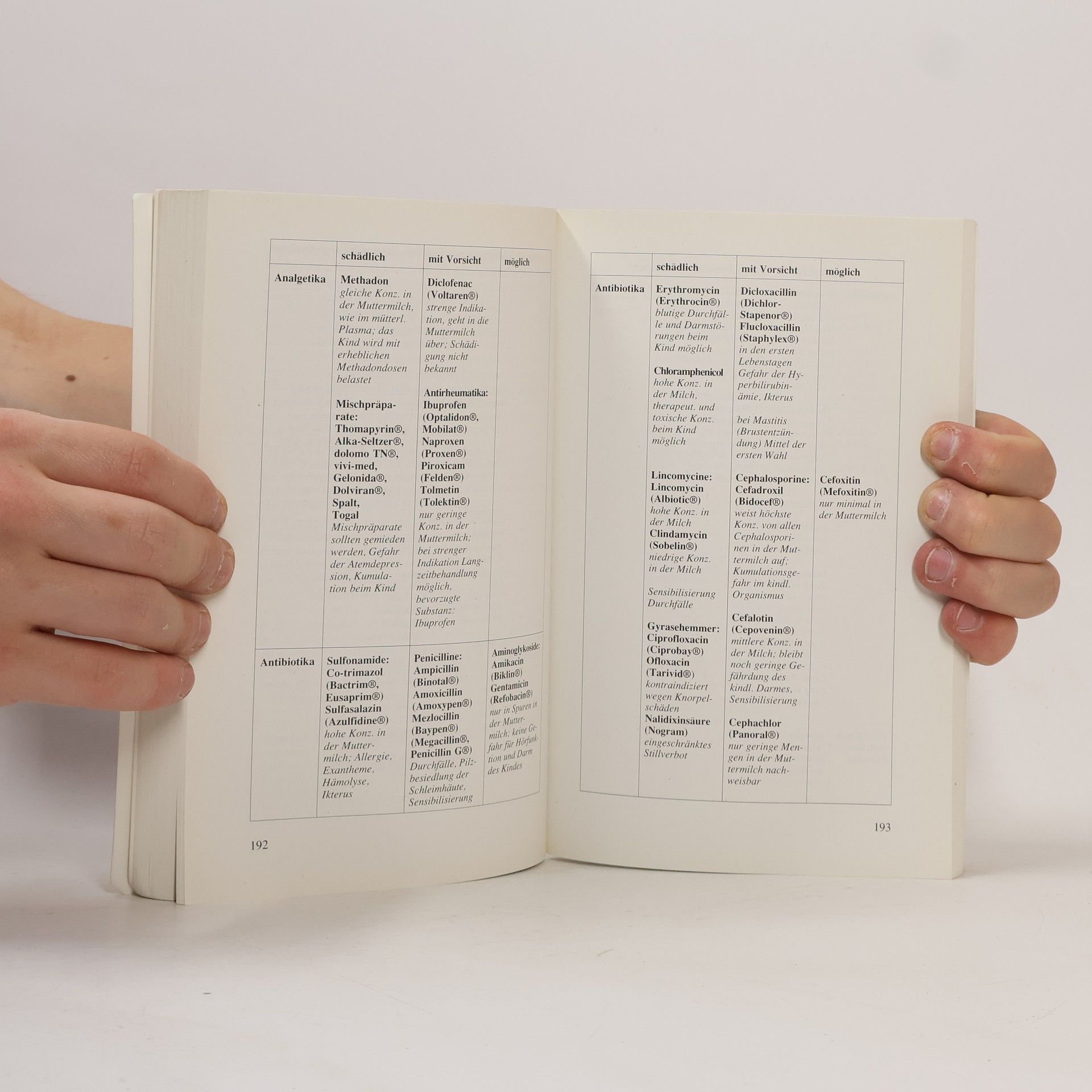 Hanny Lothrop Das Stillbuch