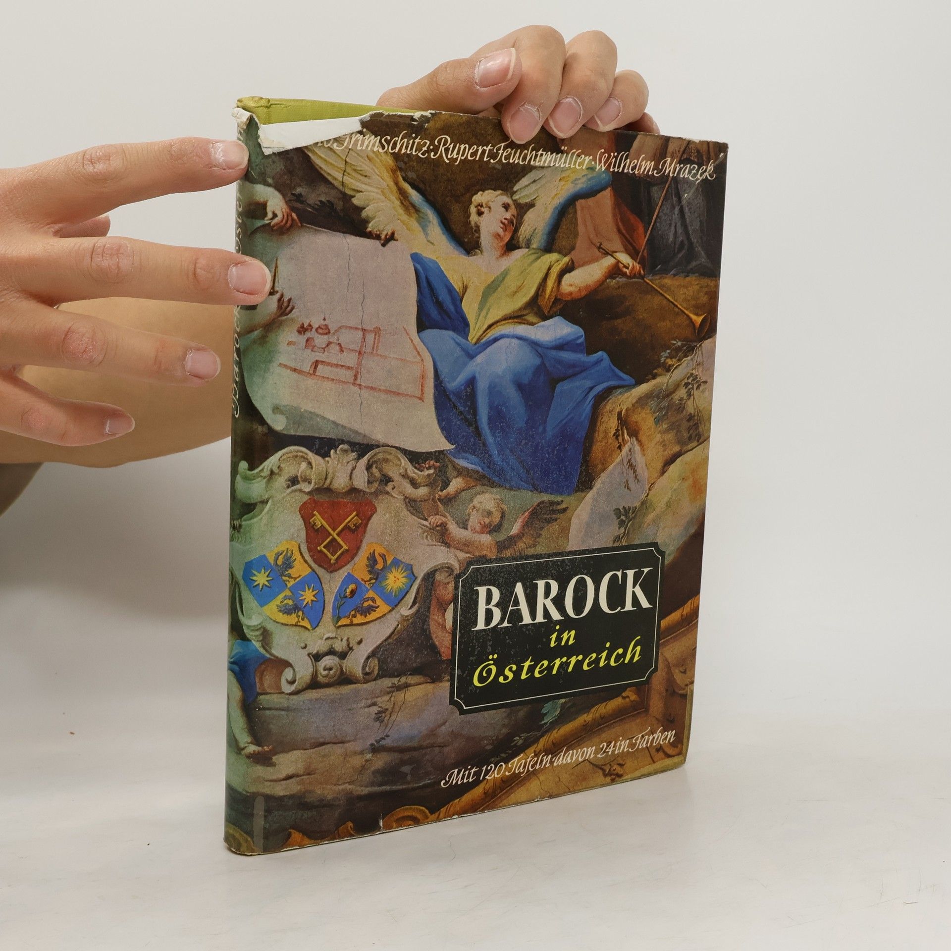 Autorenkollektiv Barock in Österreich