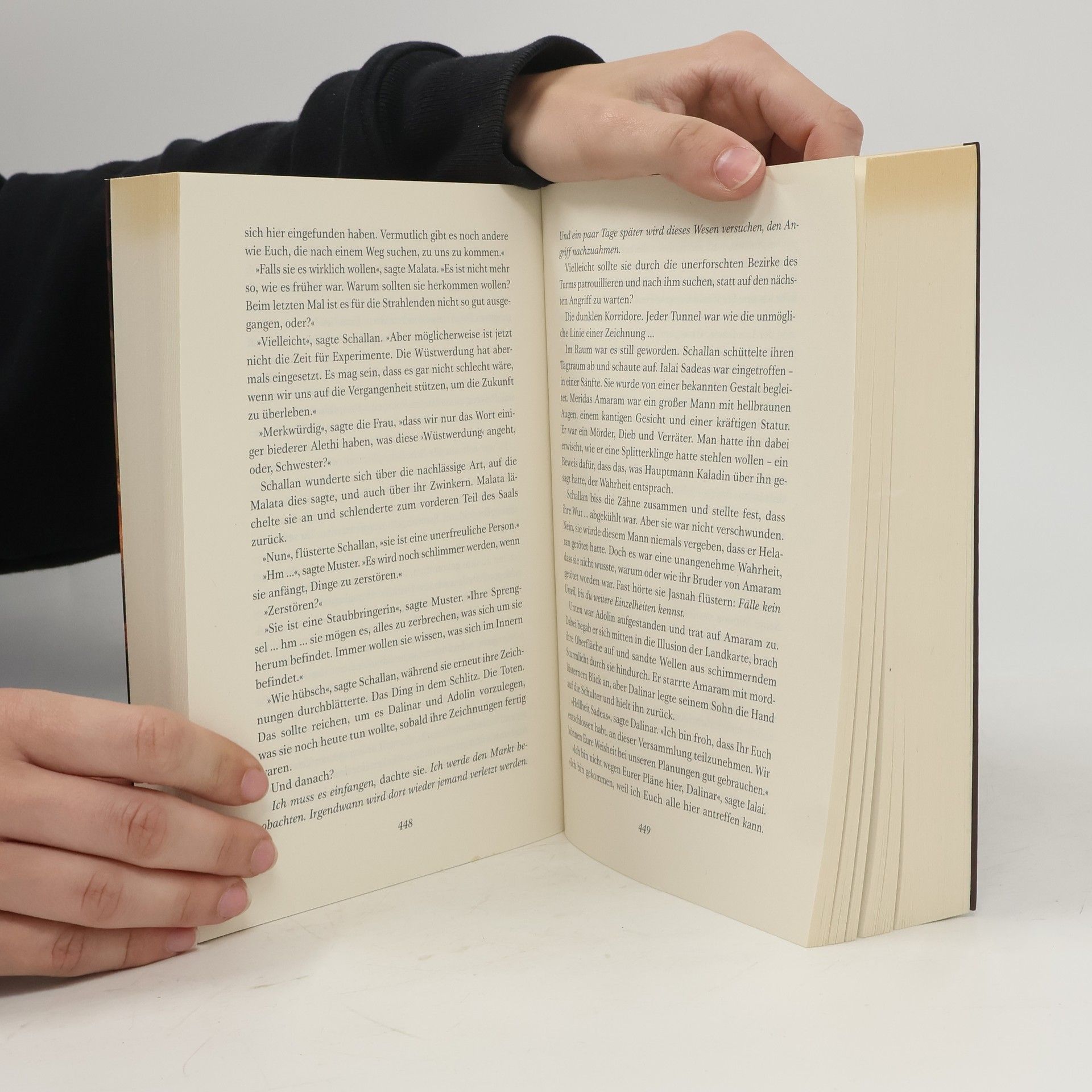 Brandon Sanderson Der Ruf der Klingen
