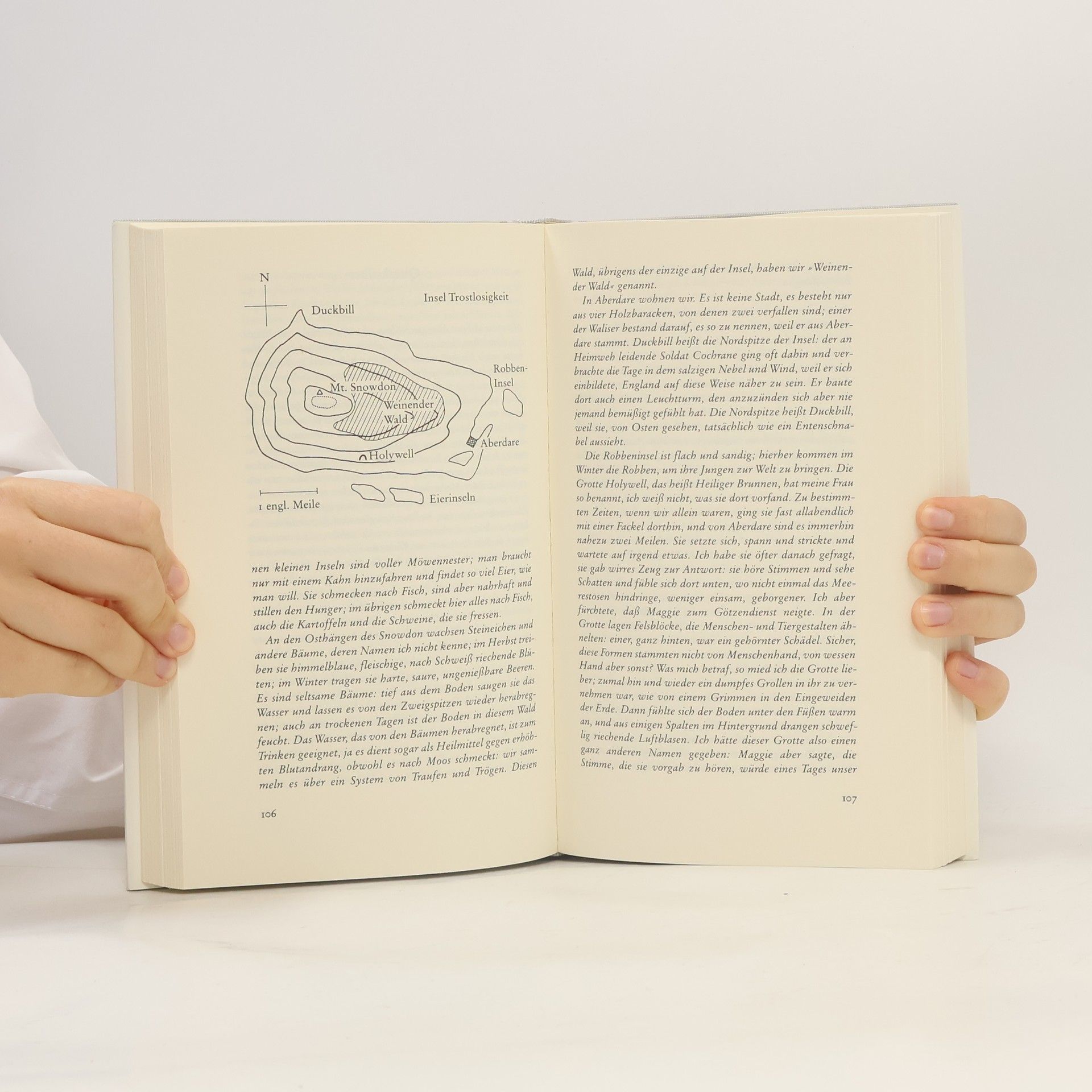 Primo Levi Das periodische System