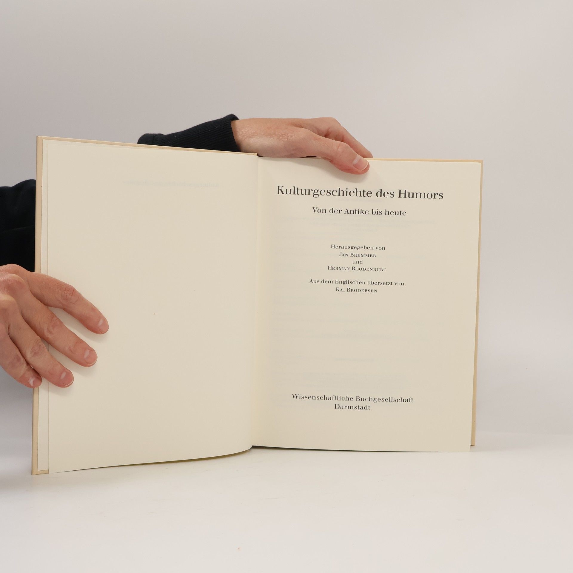 Herman Roodenburg Kulturgeschichte des Humors: Von der Antike bis heute