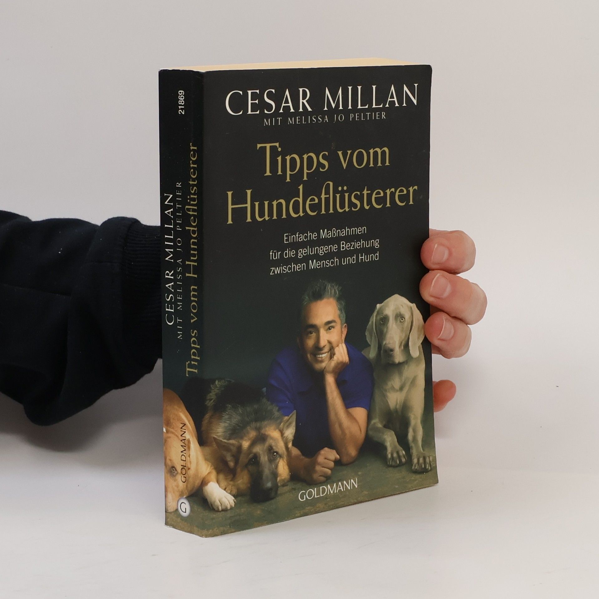 Cesar Millan Tipps vom Hundeflüsterer