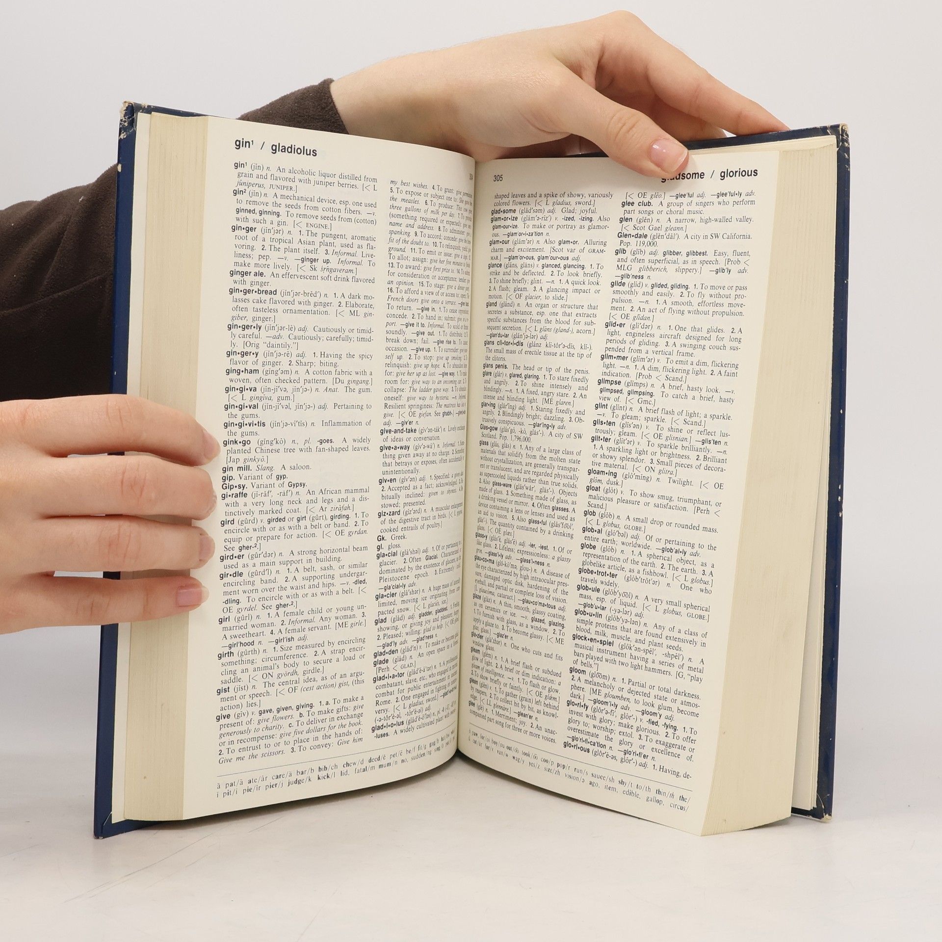 American Heritage The Concise American Heritage Dictionary - Large, Easy-To-Read Print Illustrated
