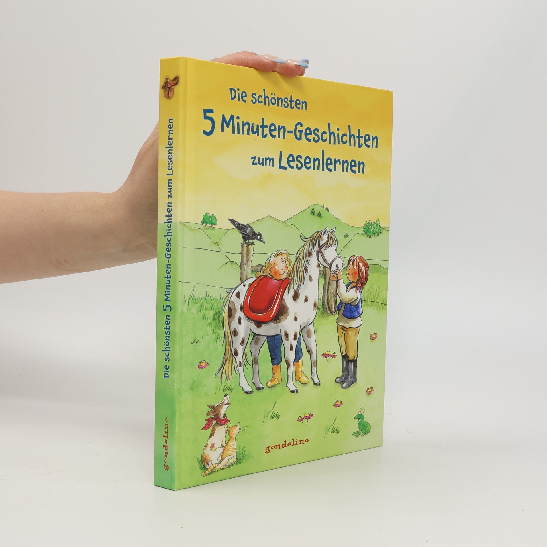 Collectif d'auteurs Die schönsten 5 Minuten-Geschichten zum Lesenlernen
