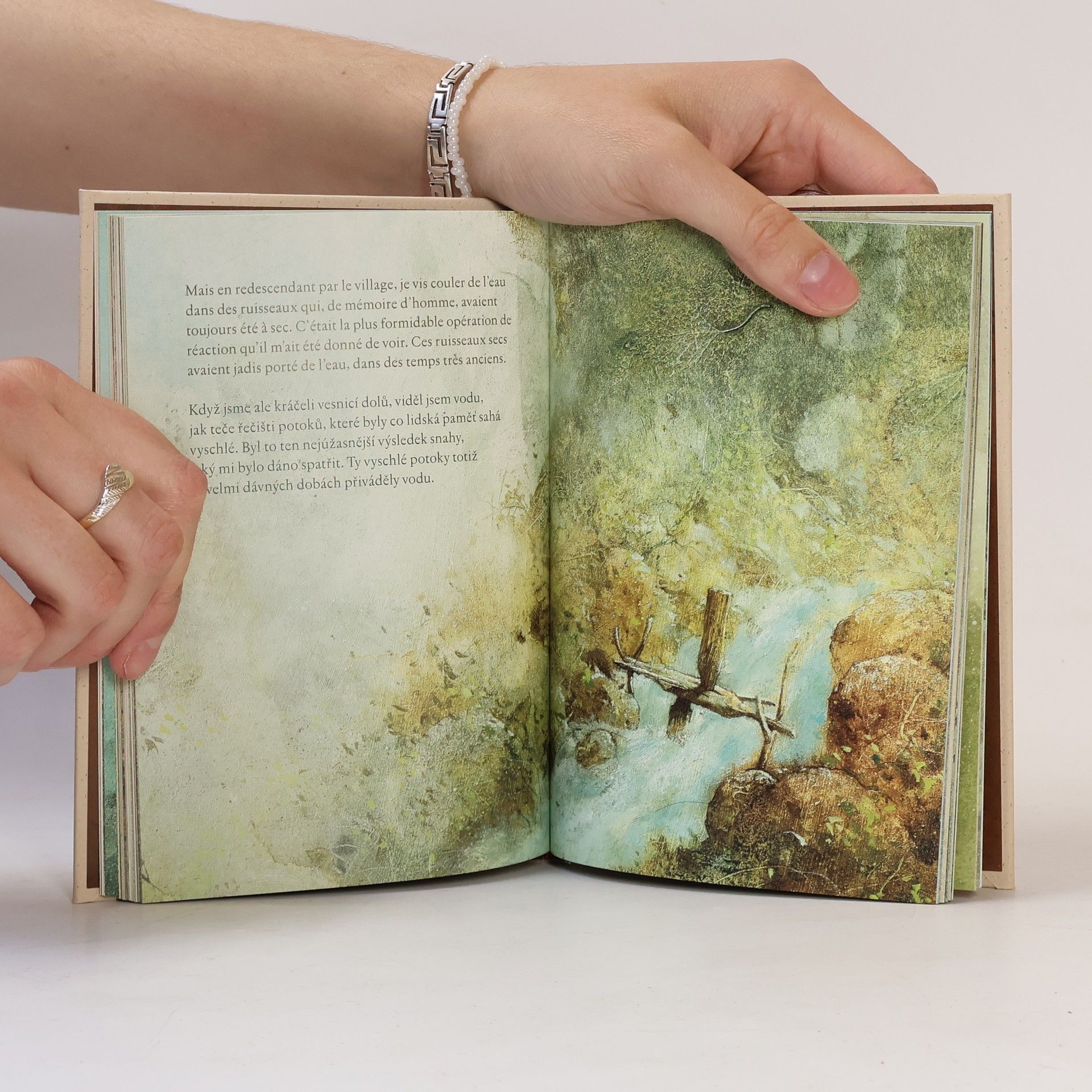Jean Giono Muž, který sázel stromy = Homme qui plantait des arbres
