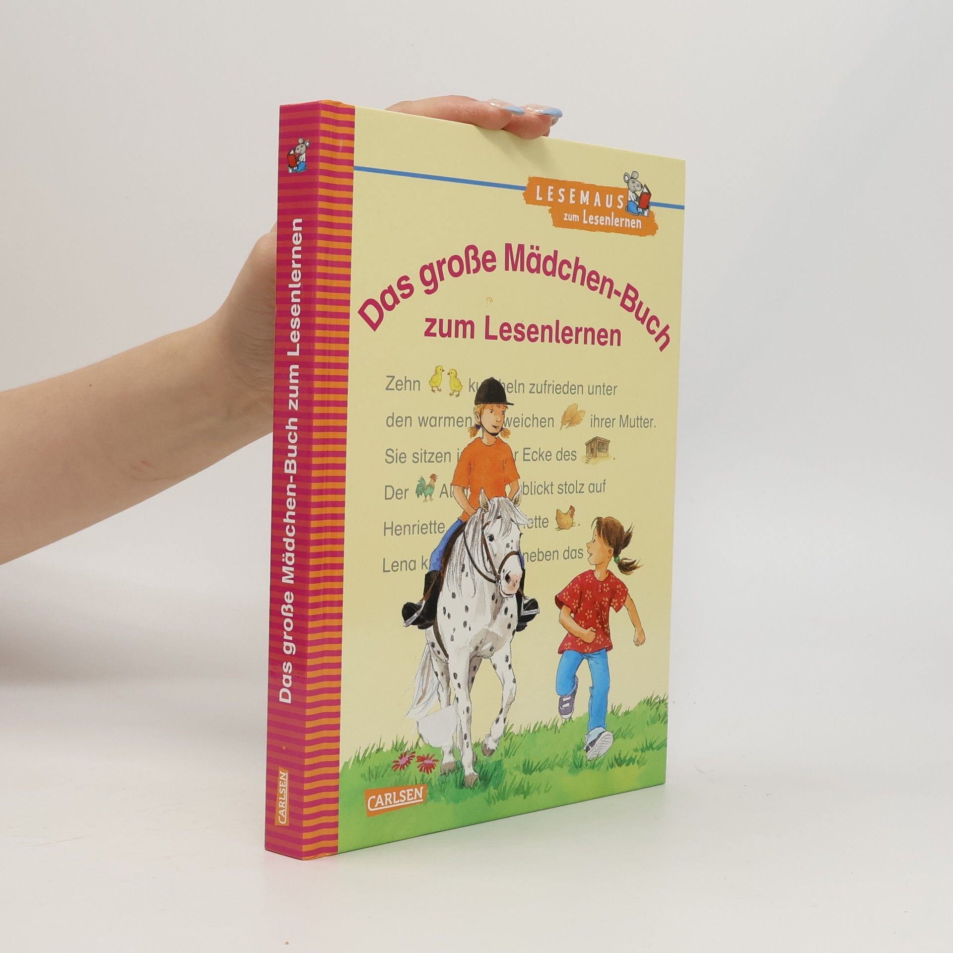 Manuela Mechtel Das große Mädchen-Buch zum Lesenlernen
