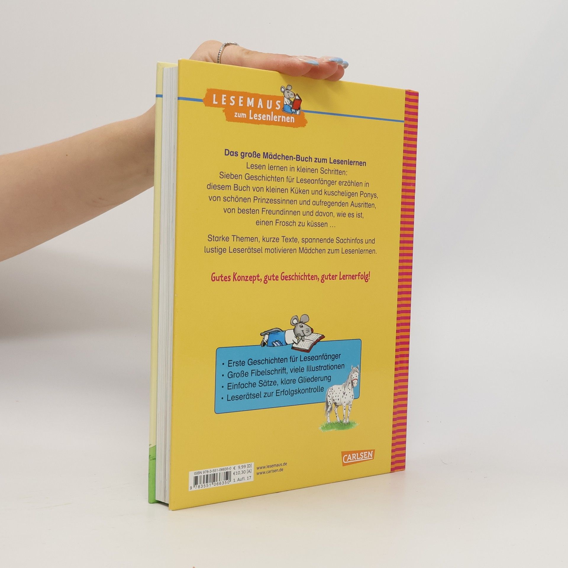 Manuela Mechtel Das große Mädchen-Buch zum Lesenlernen