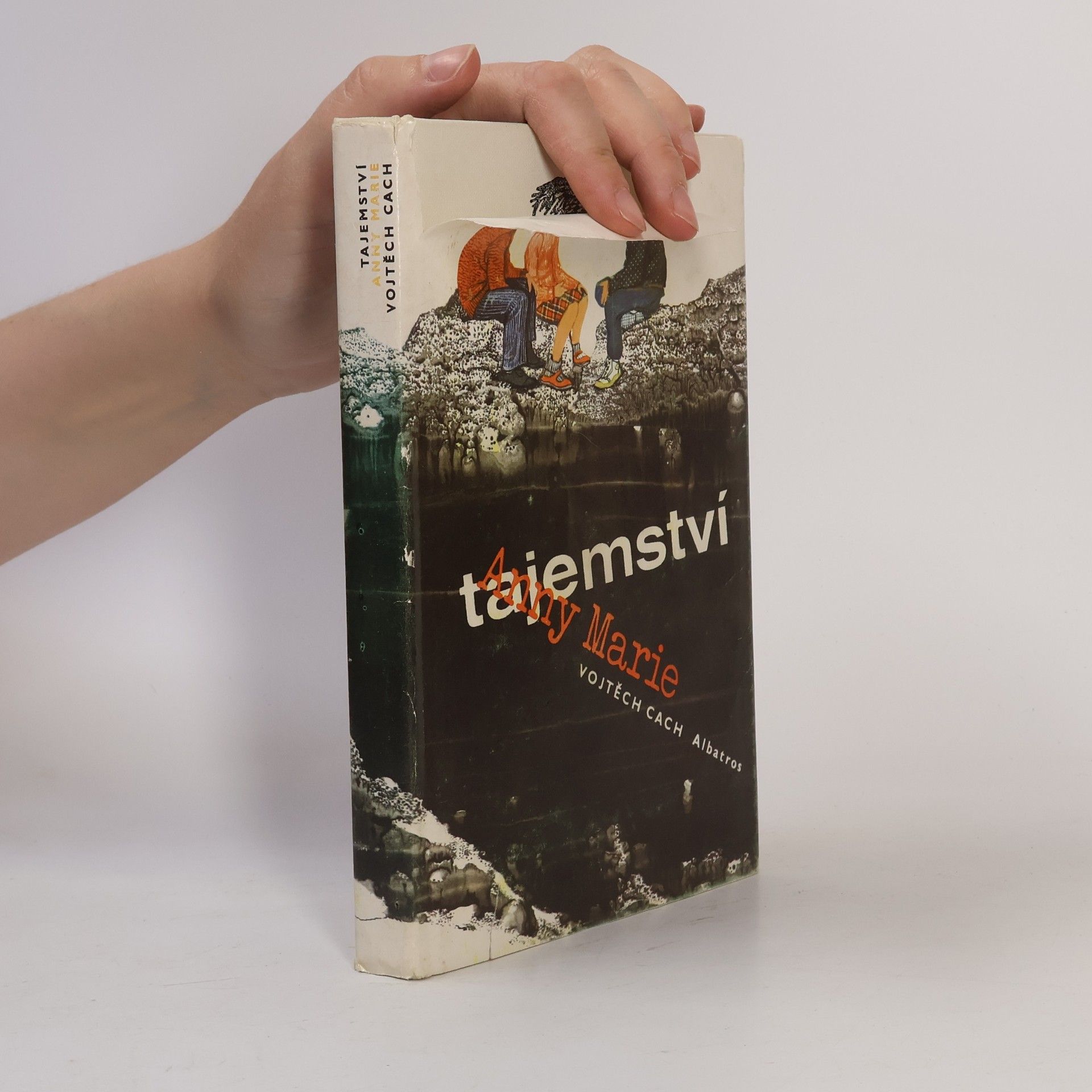 Vojtěch Cach Tajemství Anny Marie