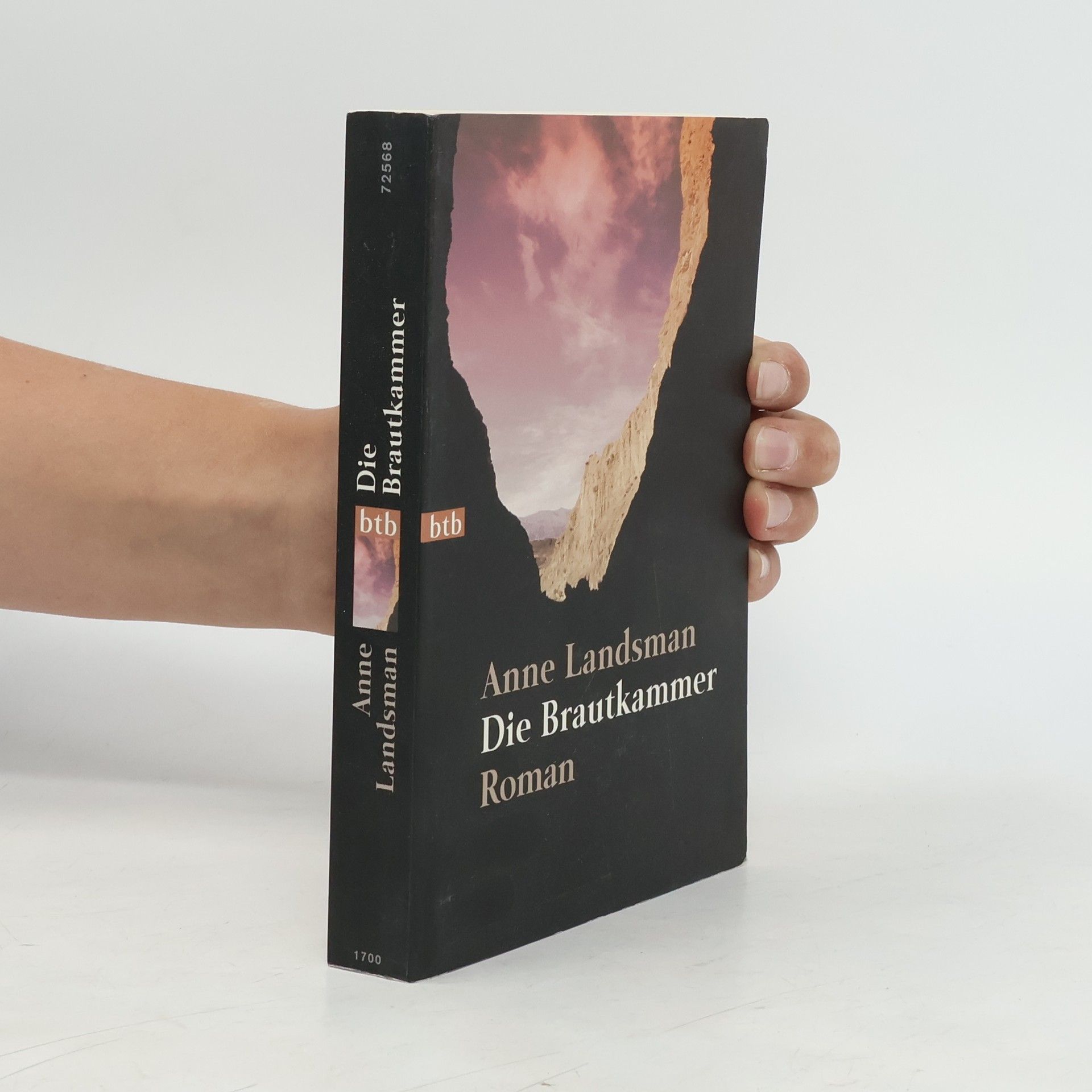 Anne Landsman Die Brautkammer