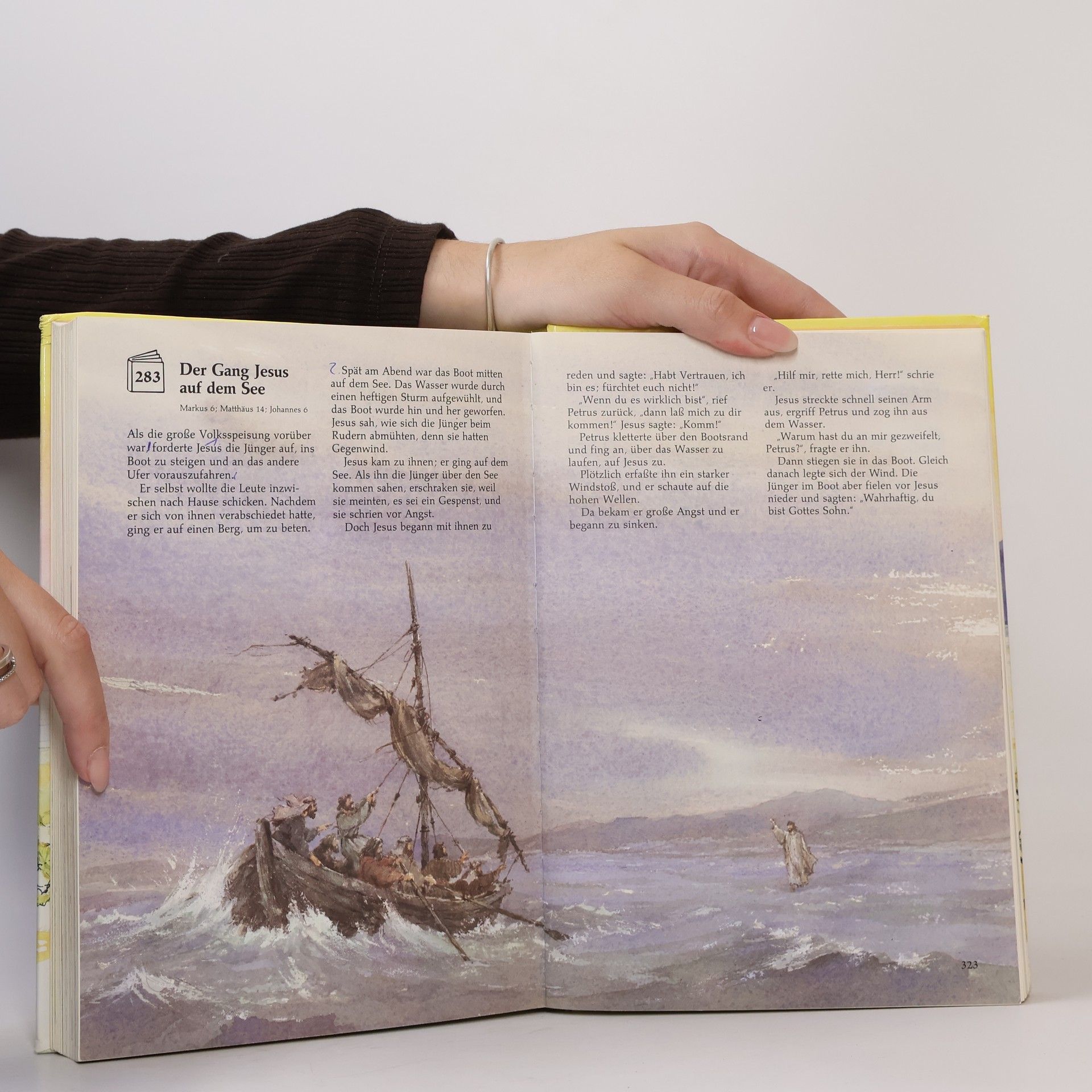 Elmar R. Gruber Die Bibel in 365 Geschichten erzählt