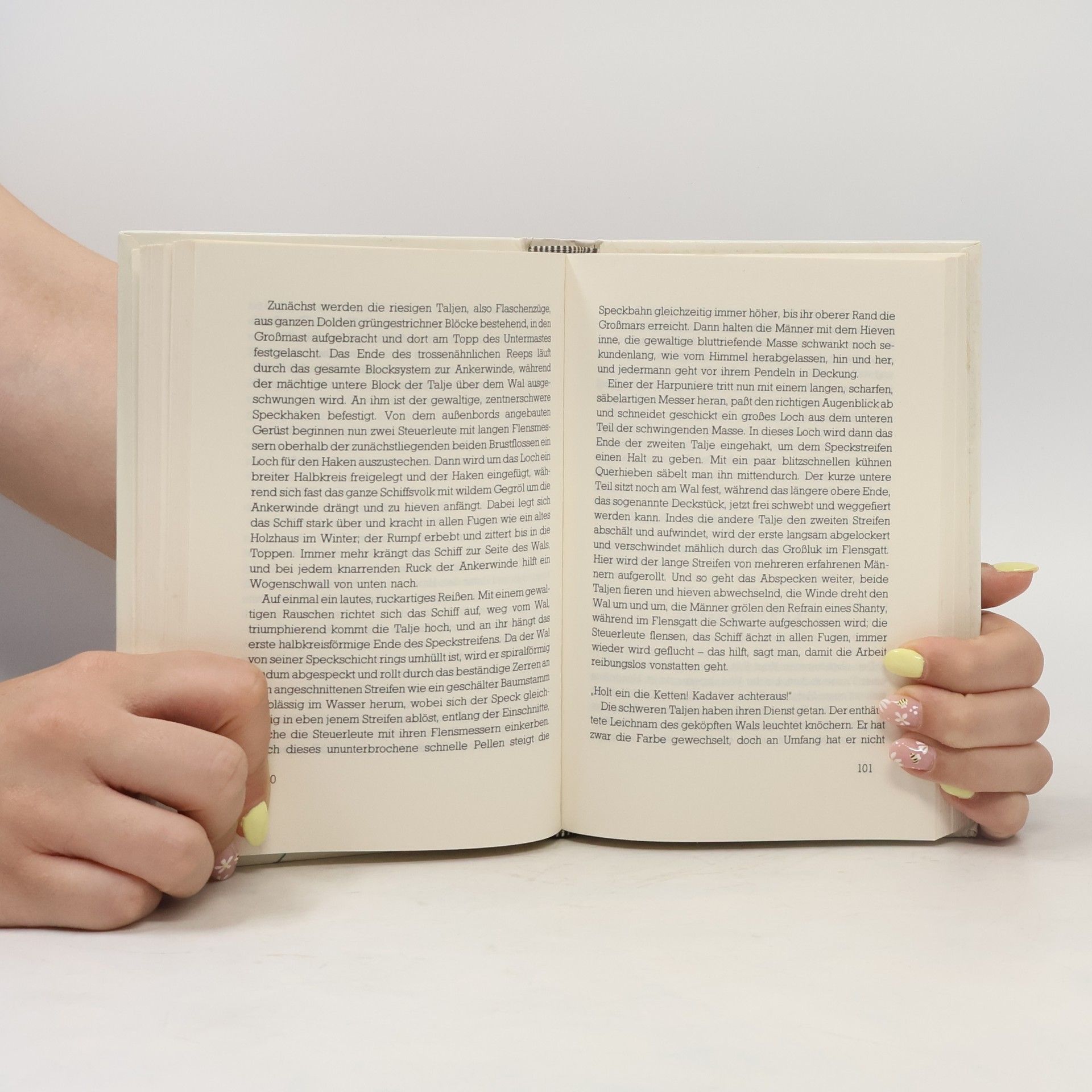 Herman Melville Moby Dick