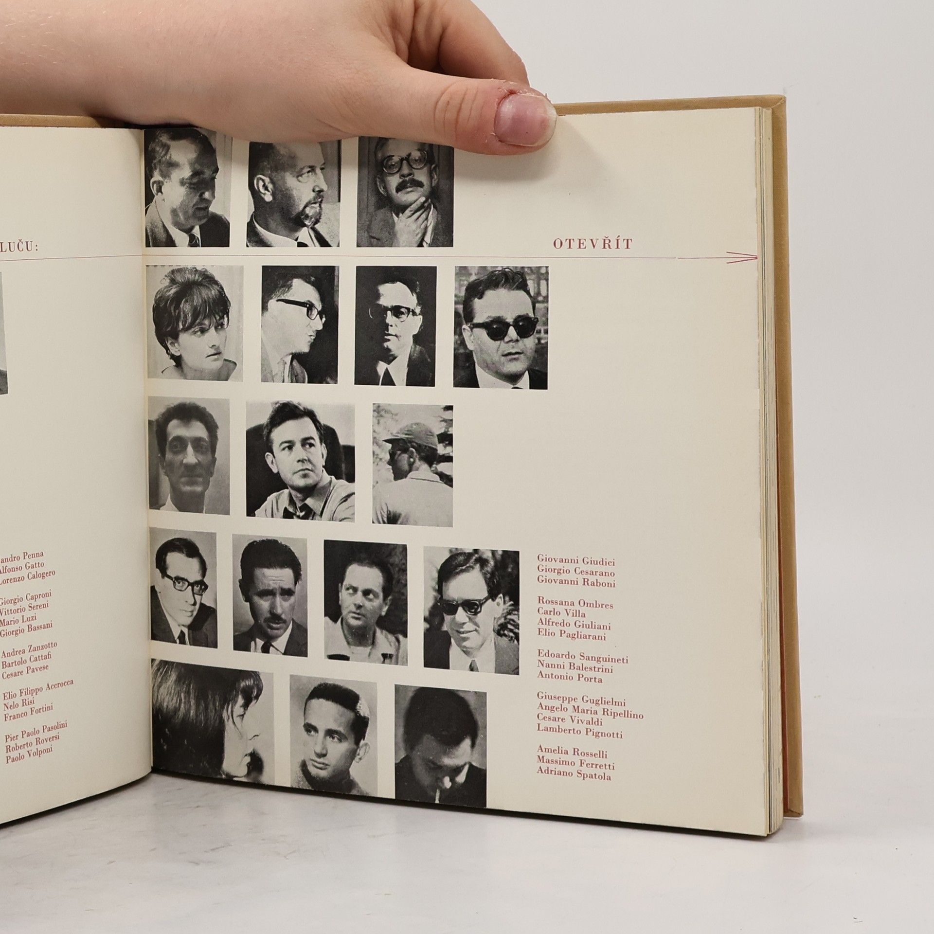 Various authors Přerušený ráj