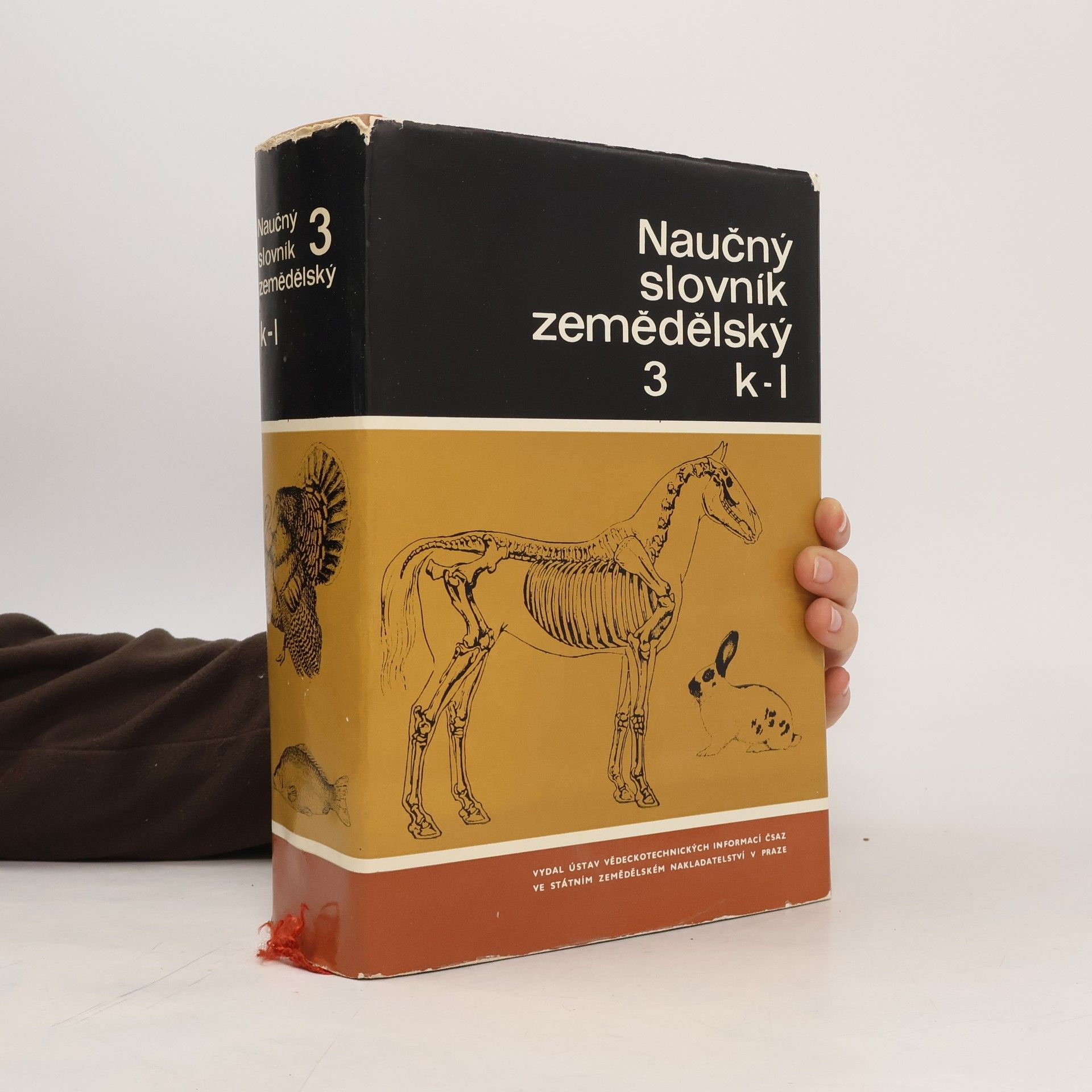 Kolektiv autorů Naučný slovník zemědělský 3. K - L