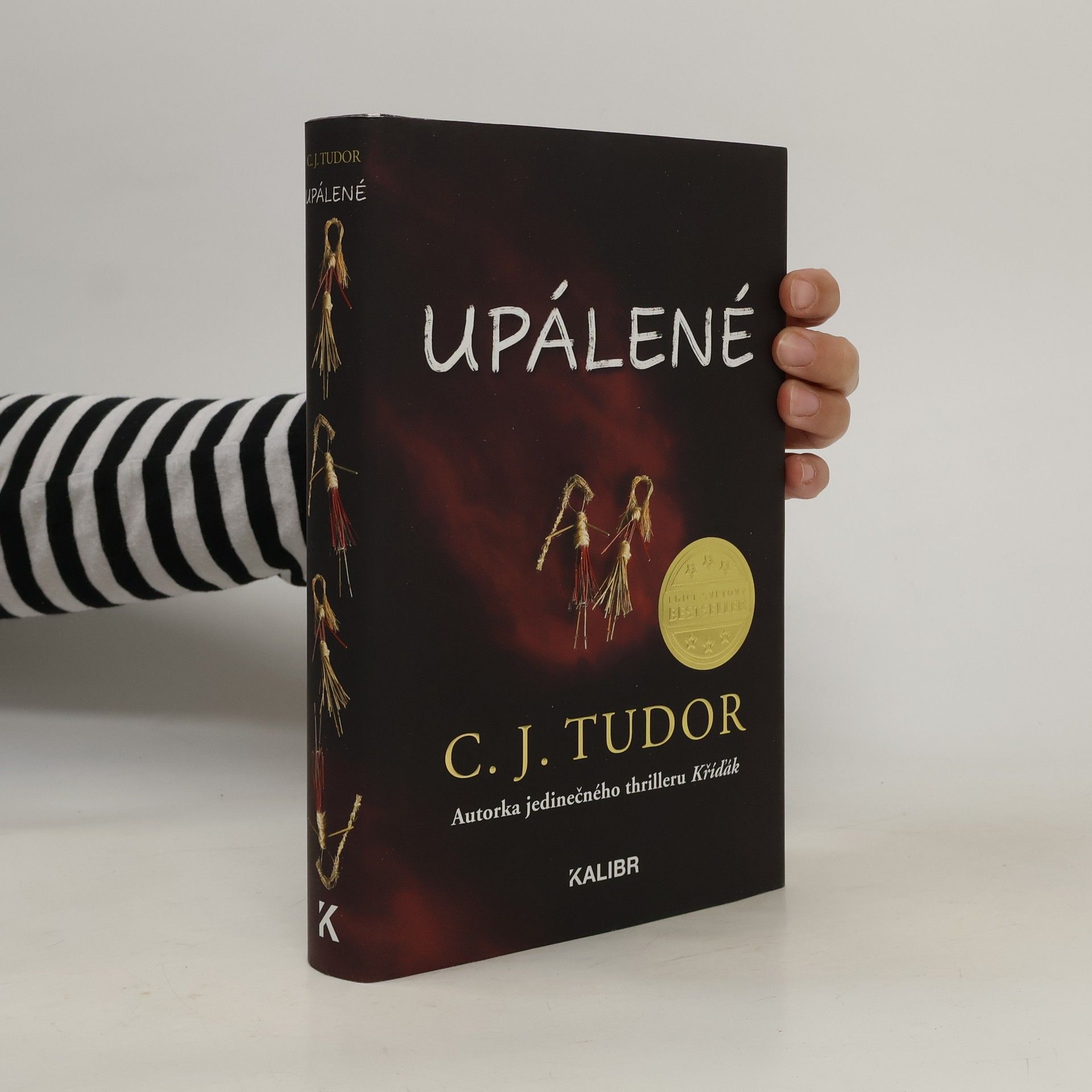 C.J. Tudor Upálené