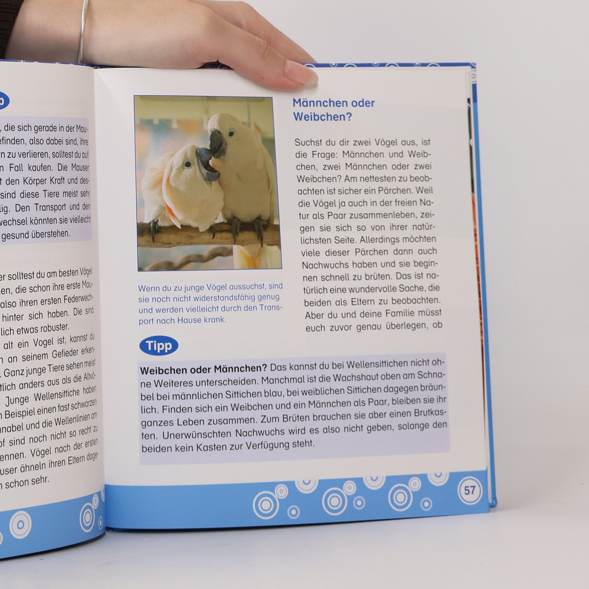 Autores varios Meine erstes Haustier. Vögel