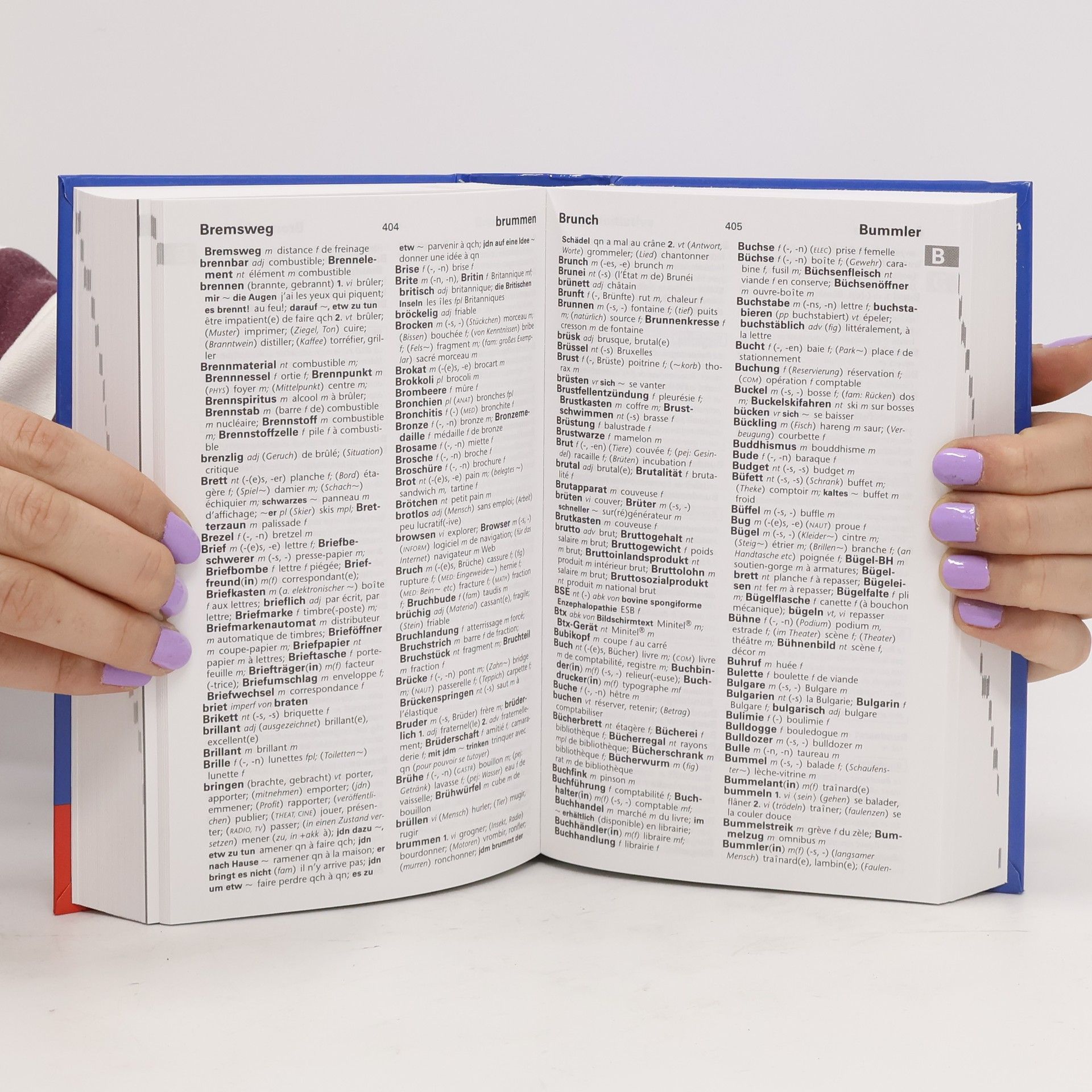 AA.VV. Taschenwörterbuch Französisch