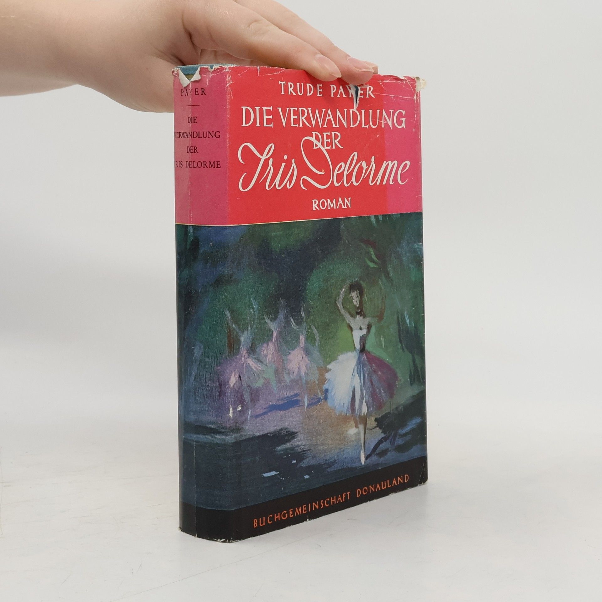 Trude Payer Die Verwandlung der Iris Delorme