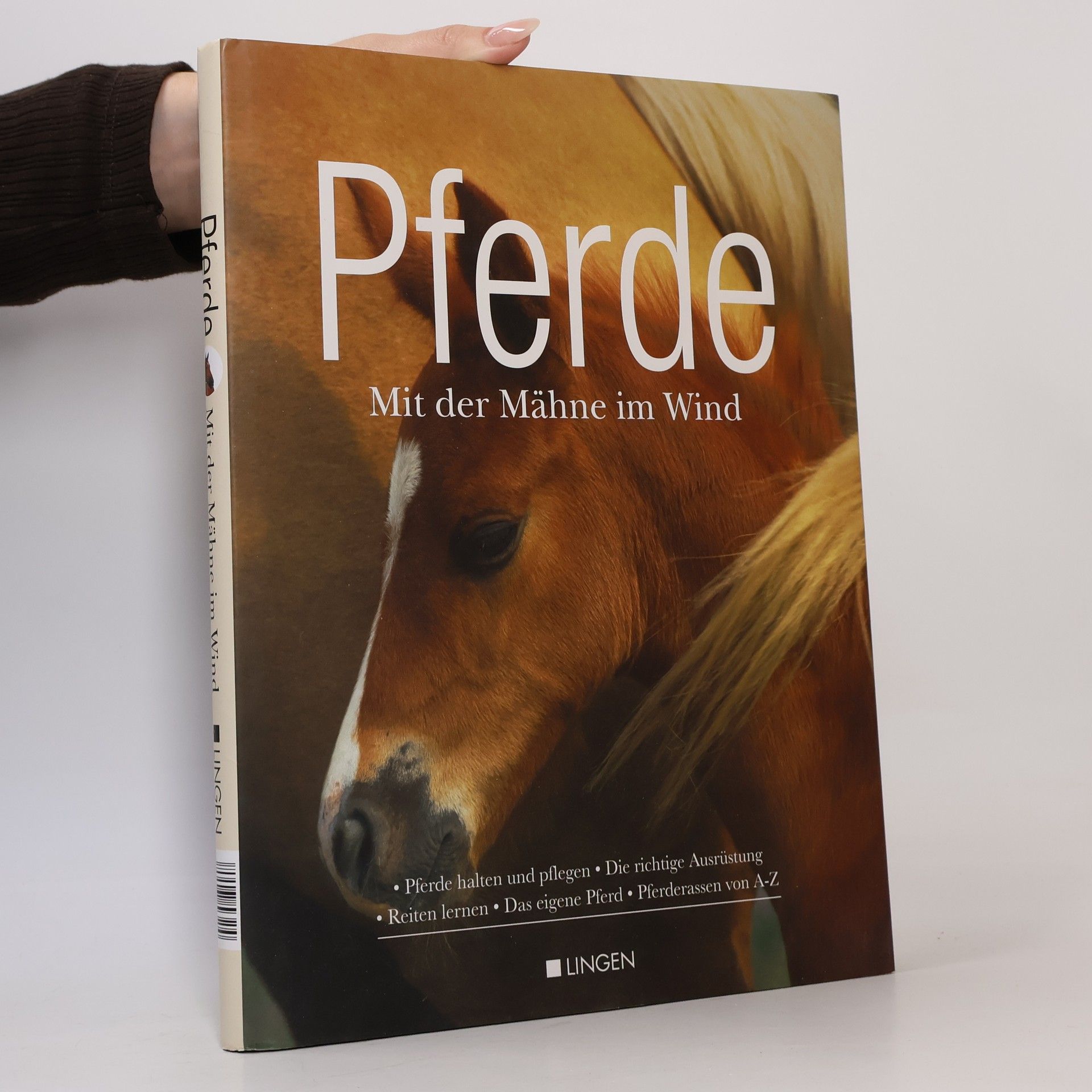 Autorenkollektiv Pferde. Mit der Mähne im Wind