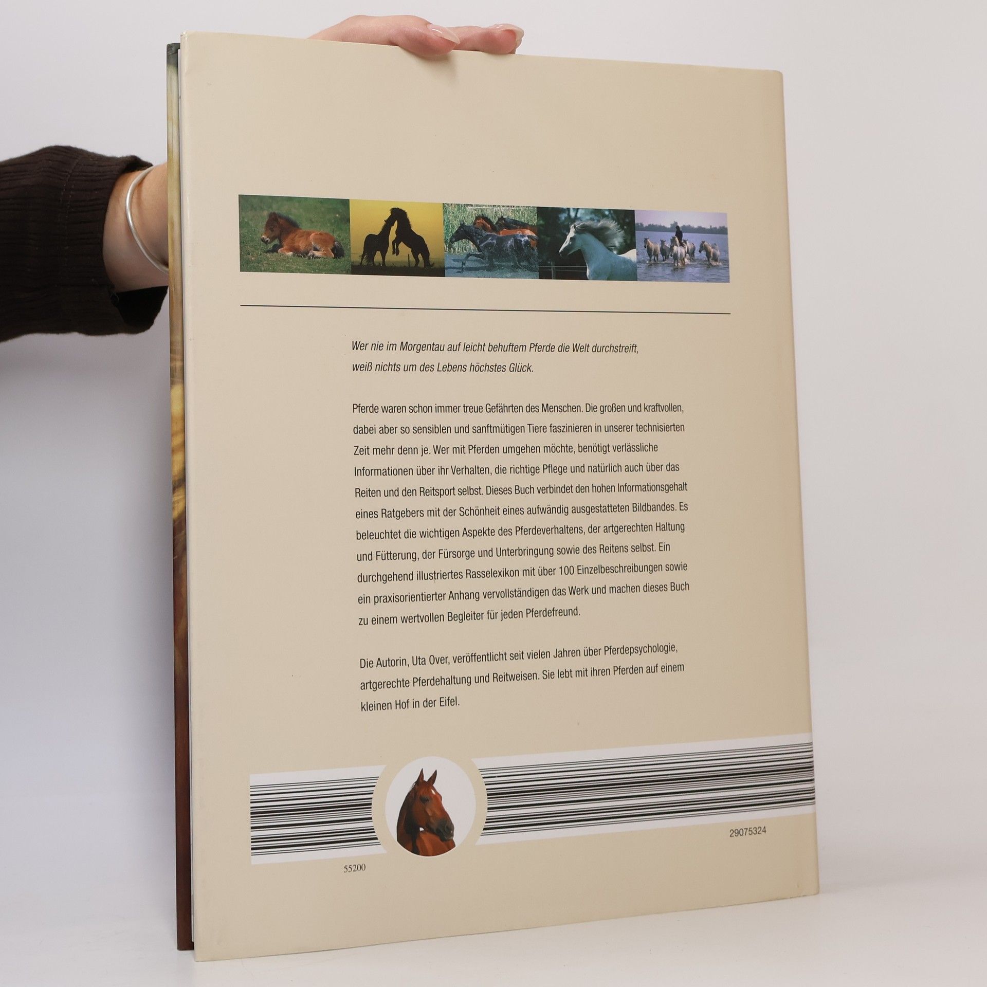 Autorenkollektiv Pferde. Mit der Mähne im Wind