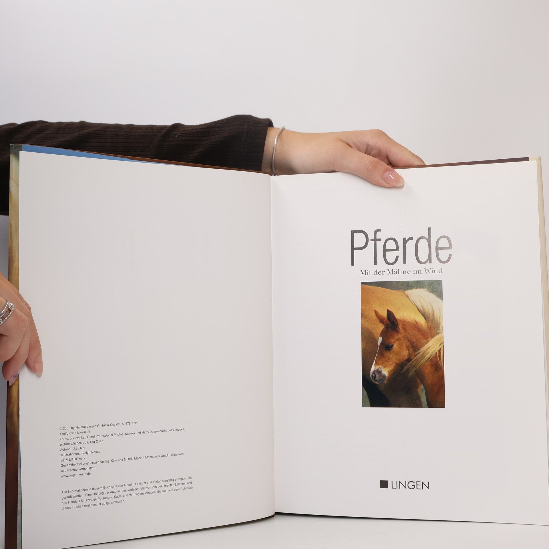 Autorenkollektiv Pferde. Mit der Mähne im Wind