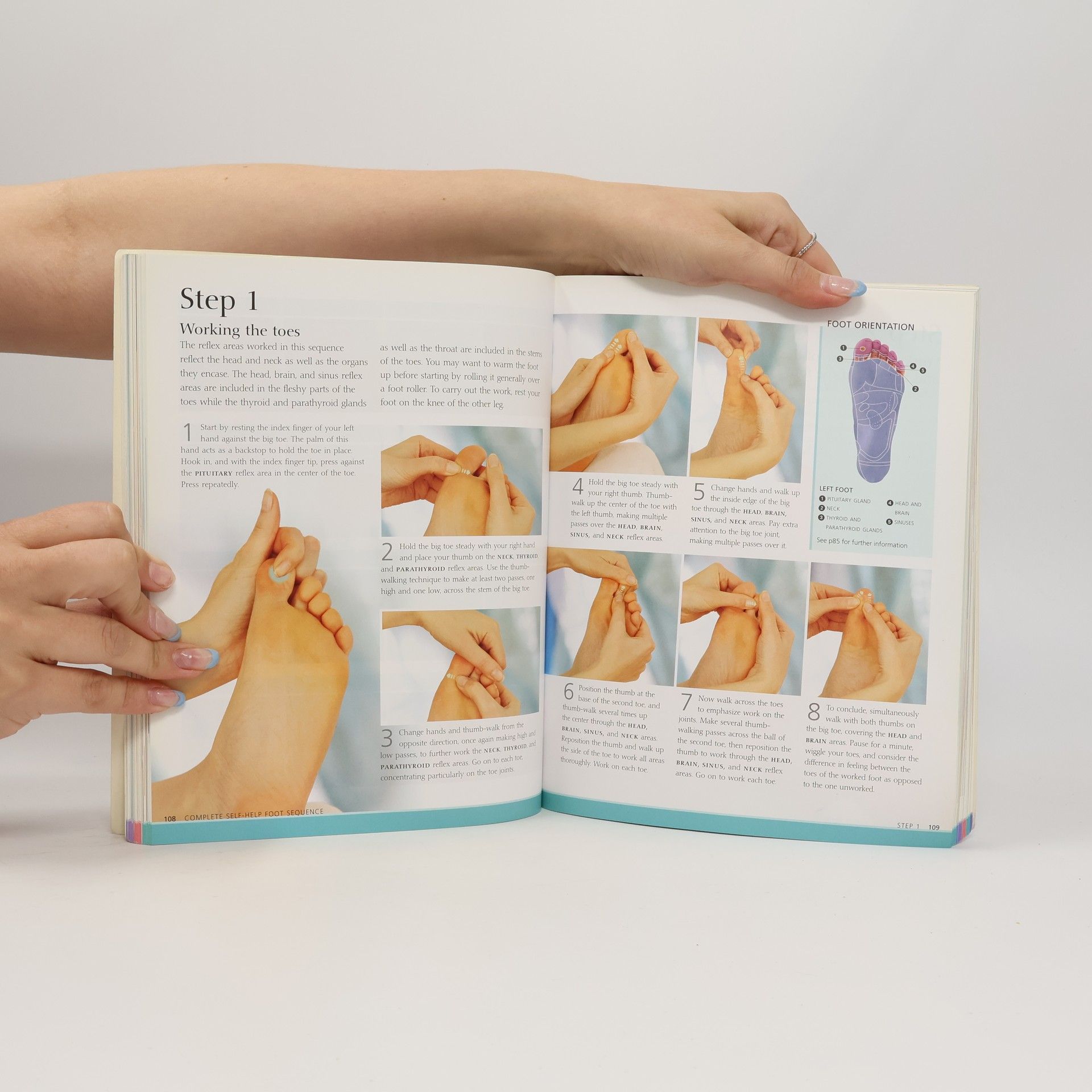 Barbara Kunz Complete Reflexology for Life