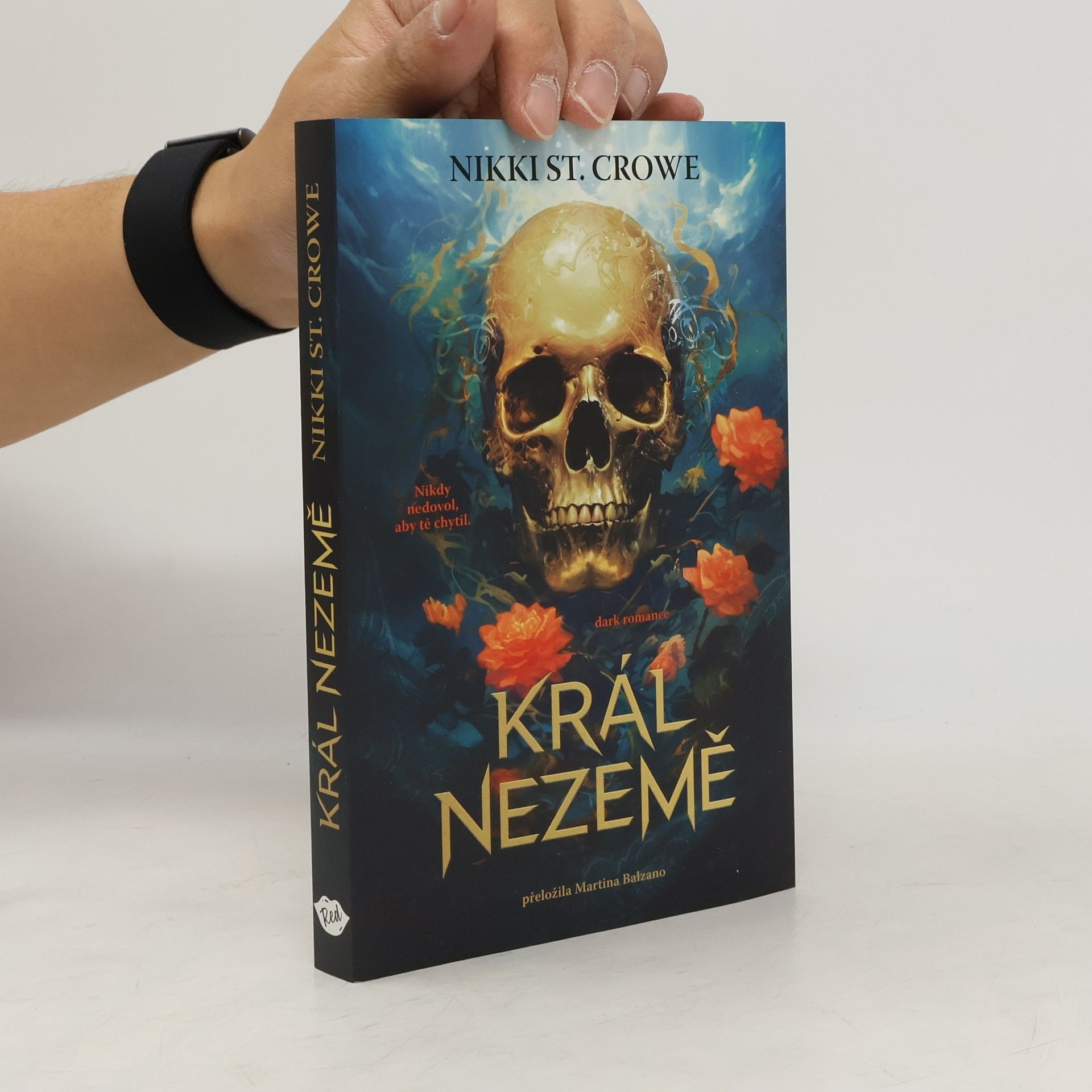 Nikki St. Crowe Král Nezemě