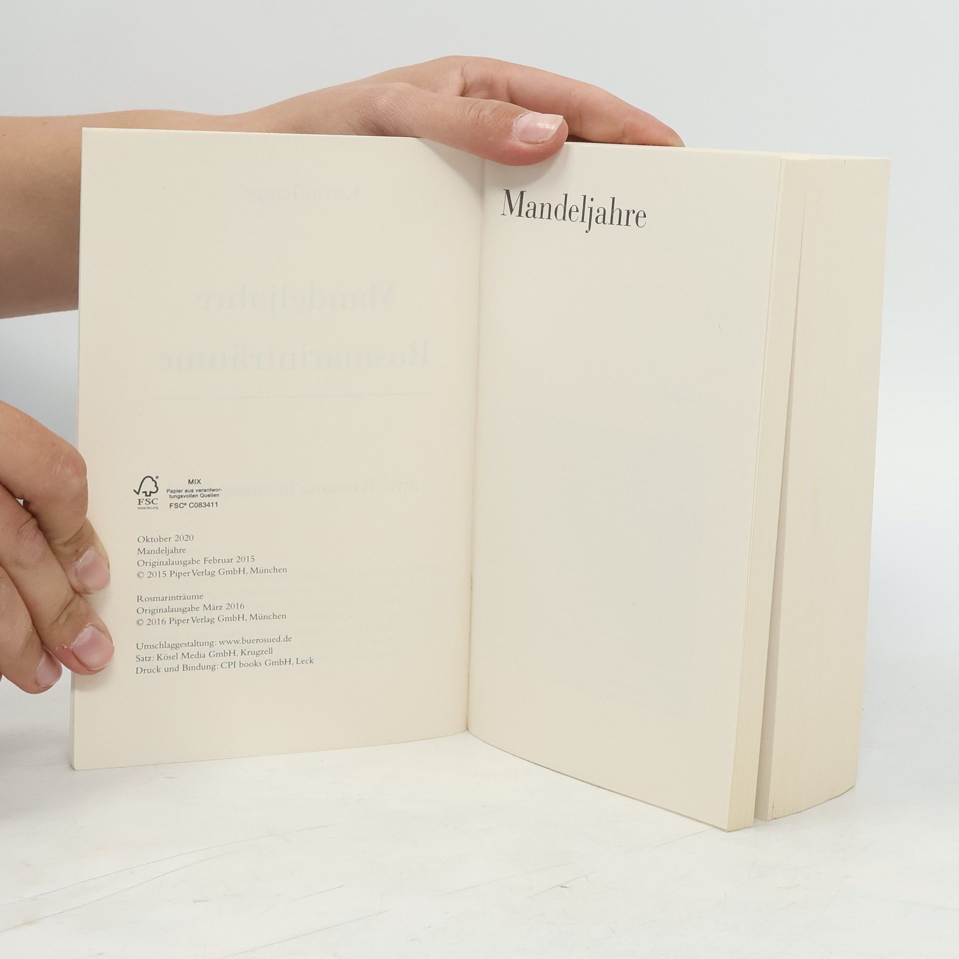 Katrin Tempel Mandeljahre. Rosmarinträume