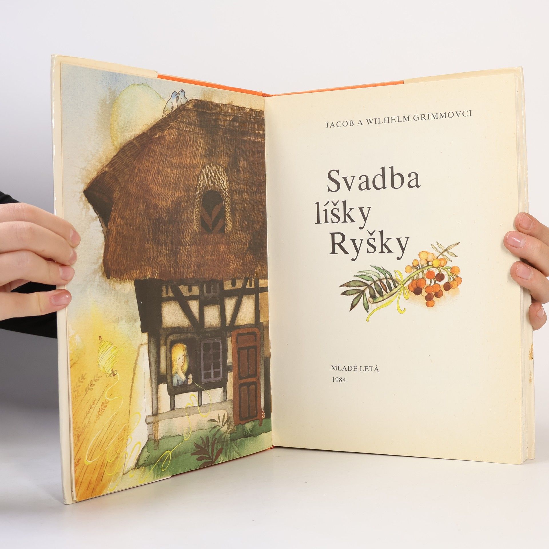Jacob Ludwig Karl Grimm Svadba líšky Ryšky