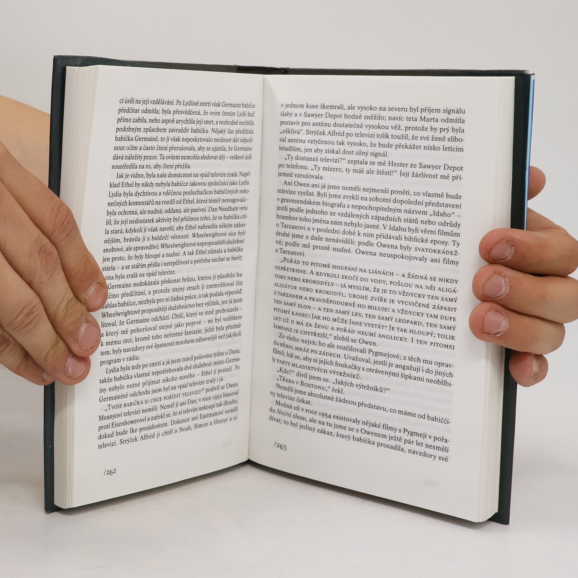 John Irving Modlitba za Owena Meanyho