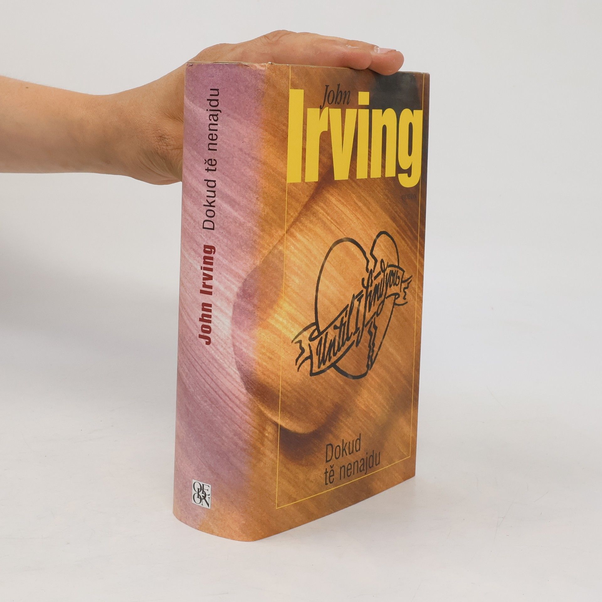John Irving Dokud tě nenajdu