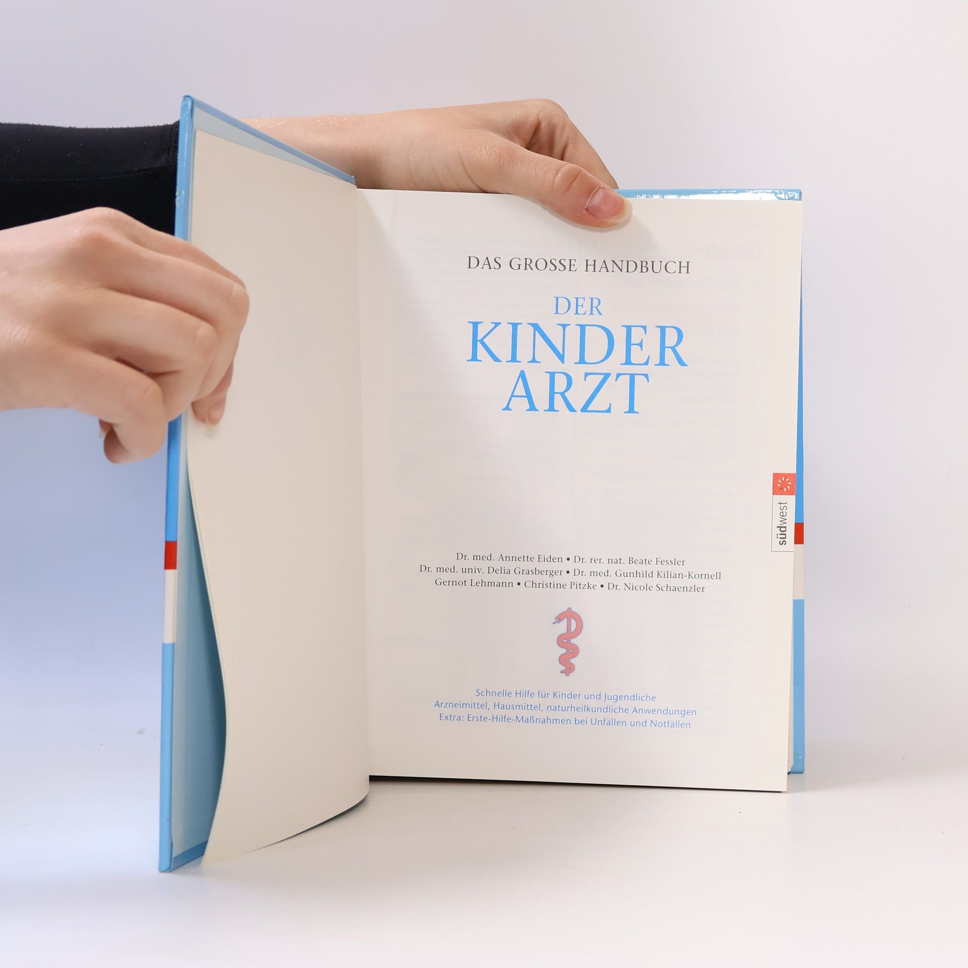 Annette Eiden-Schuh Das große Handbuch der Kinderarzt