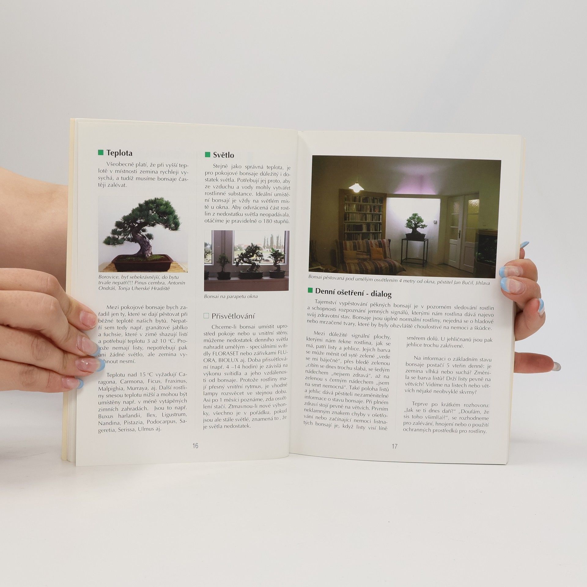 Jaroslav Pišl Bonsai nejen v paneláku
