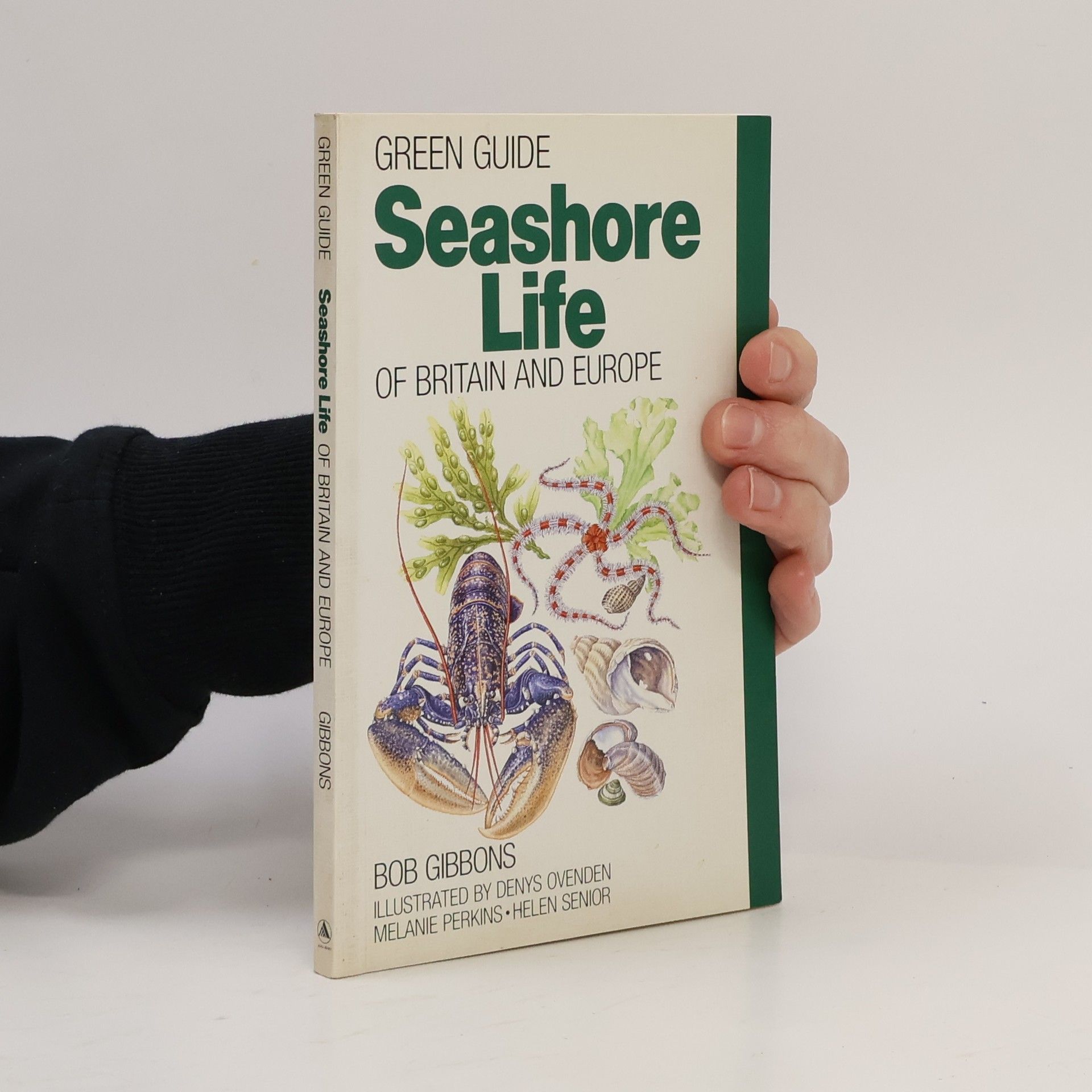 Melanie Perkins Michelin Green Guides: Seashore Life