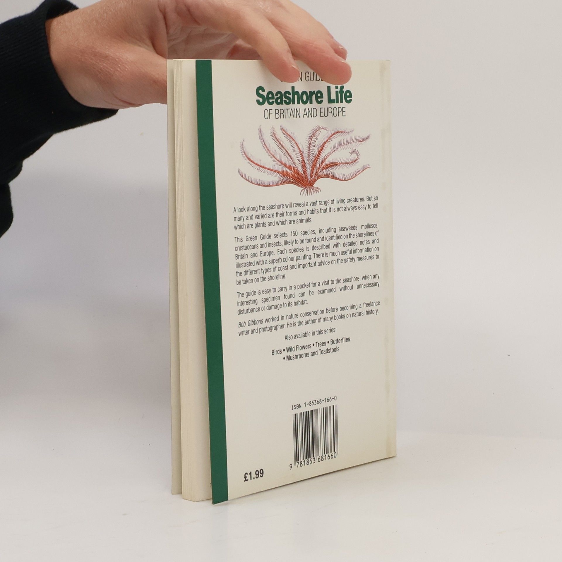 Bob Gibbons Michelin Green Guides: Seashore Life
