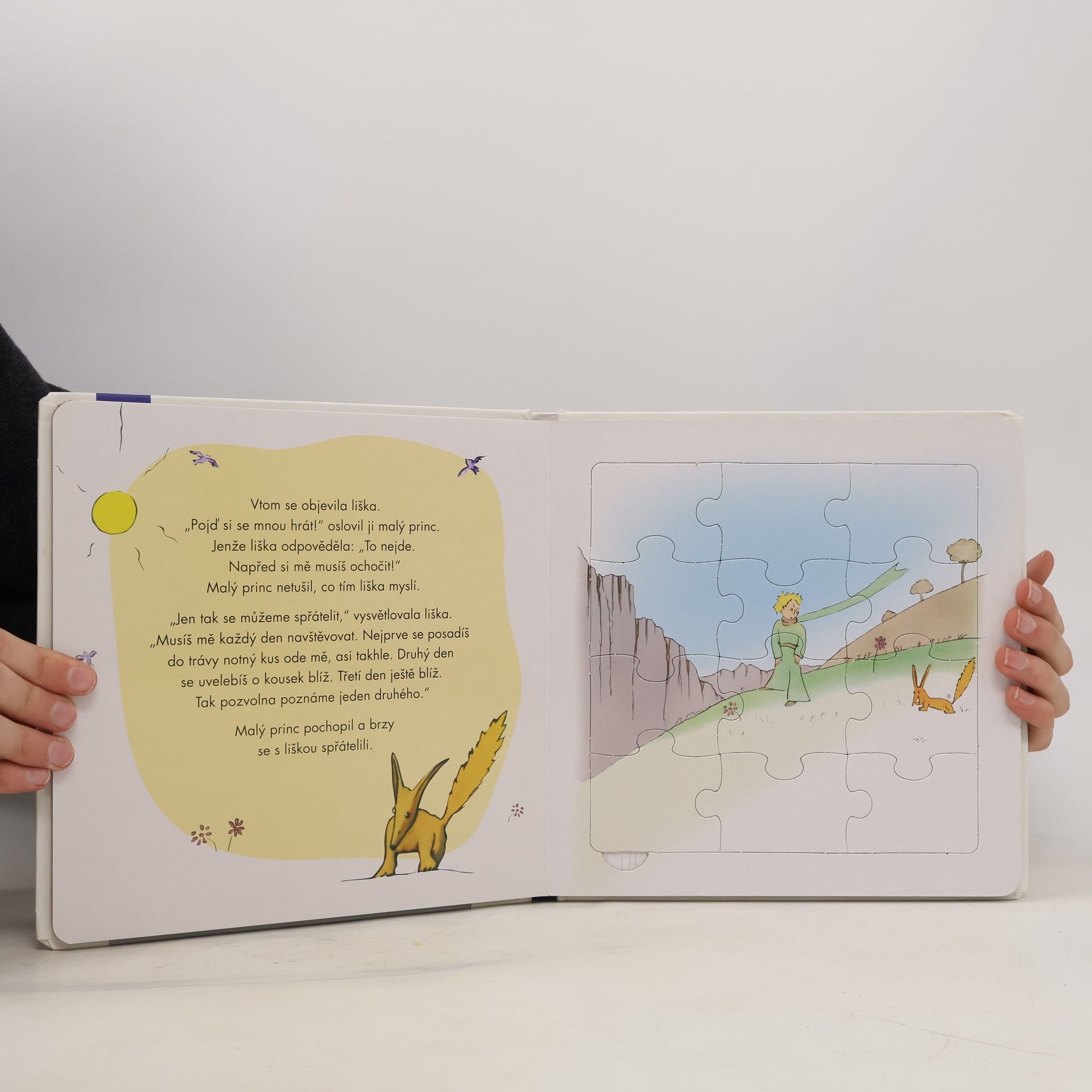 Florentine Specht Malý princ : knížka s puzzle