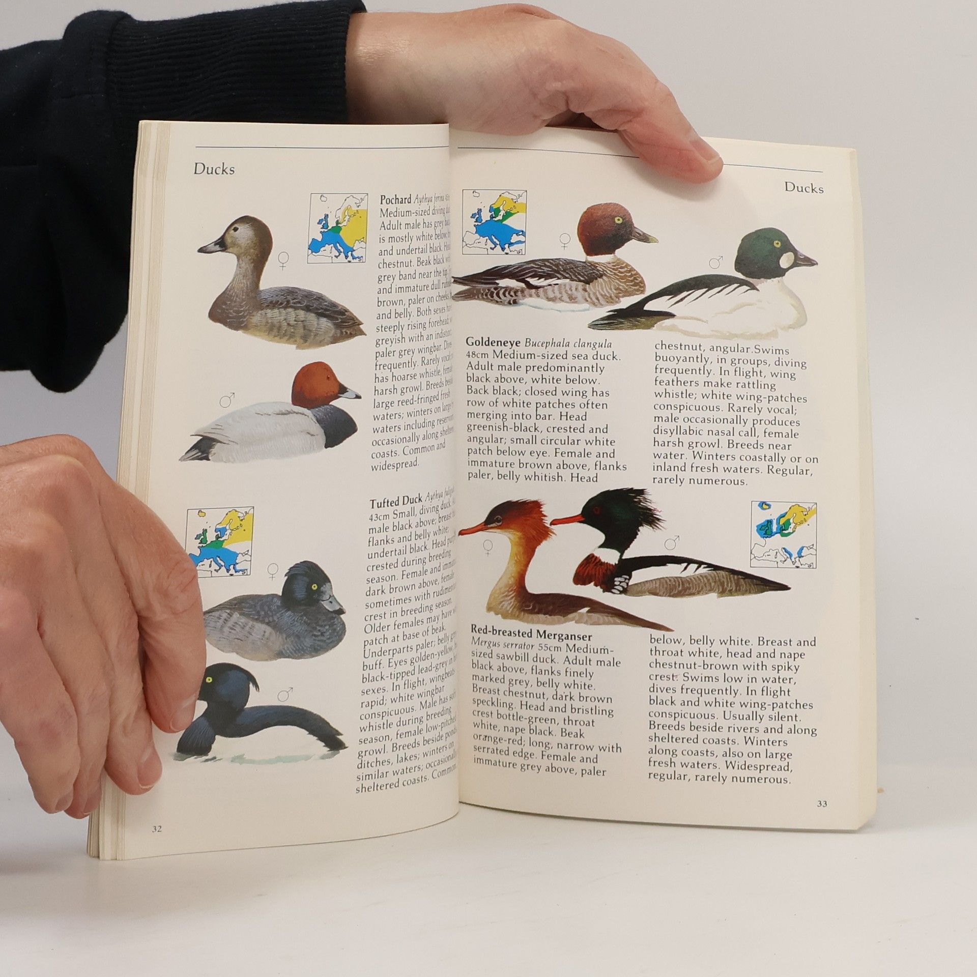 Jim Flegg Green Guide. Birds of Britain and Europe