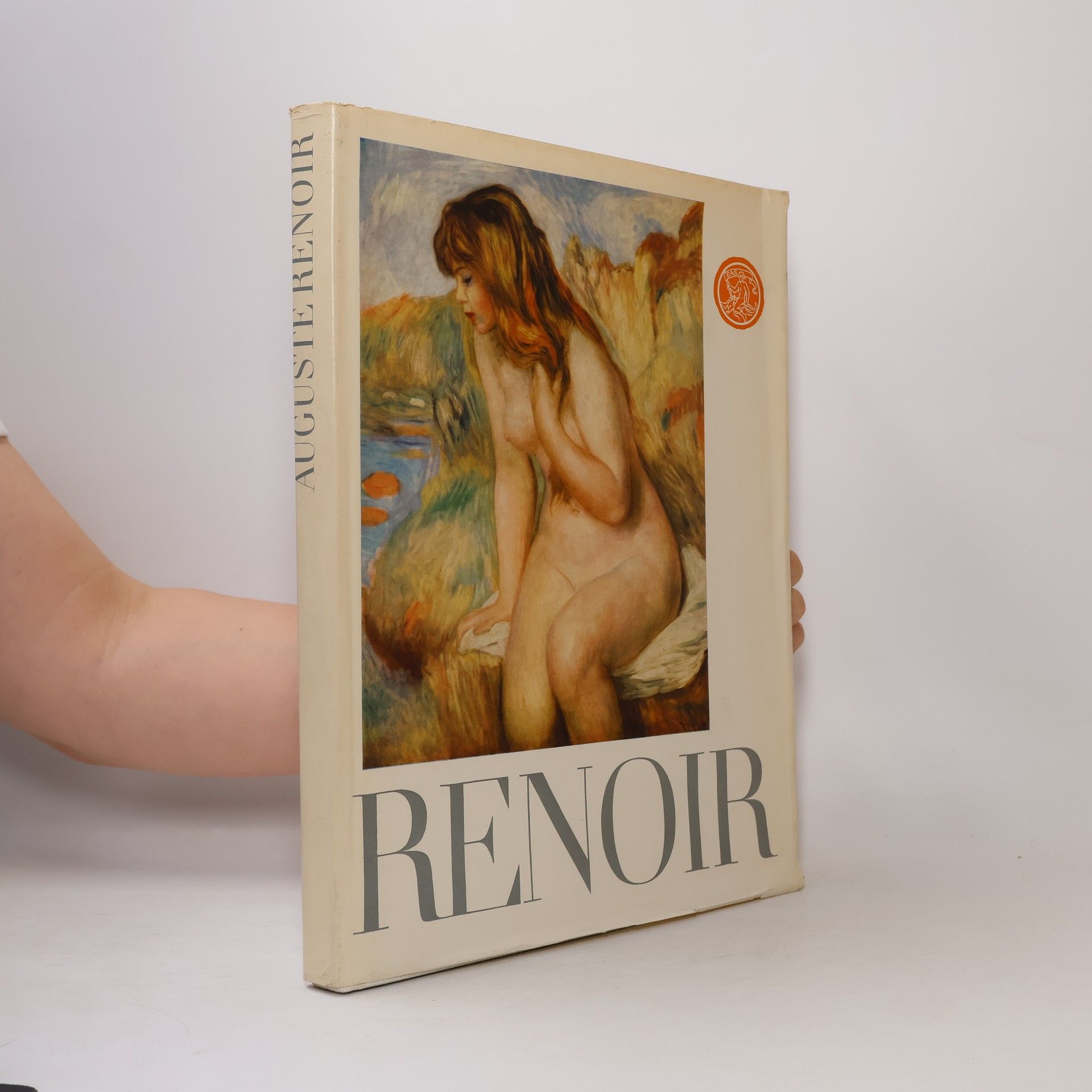 Kolektiv autorů Renoir