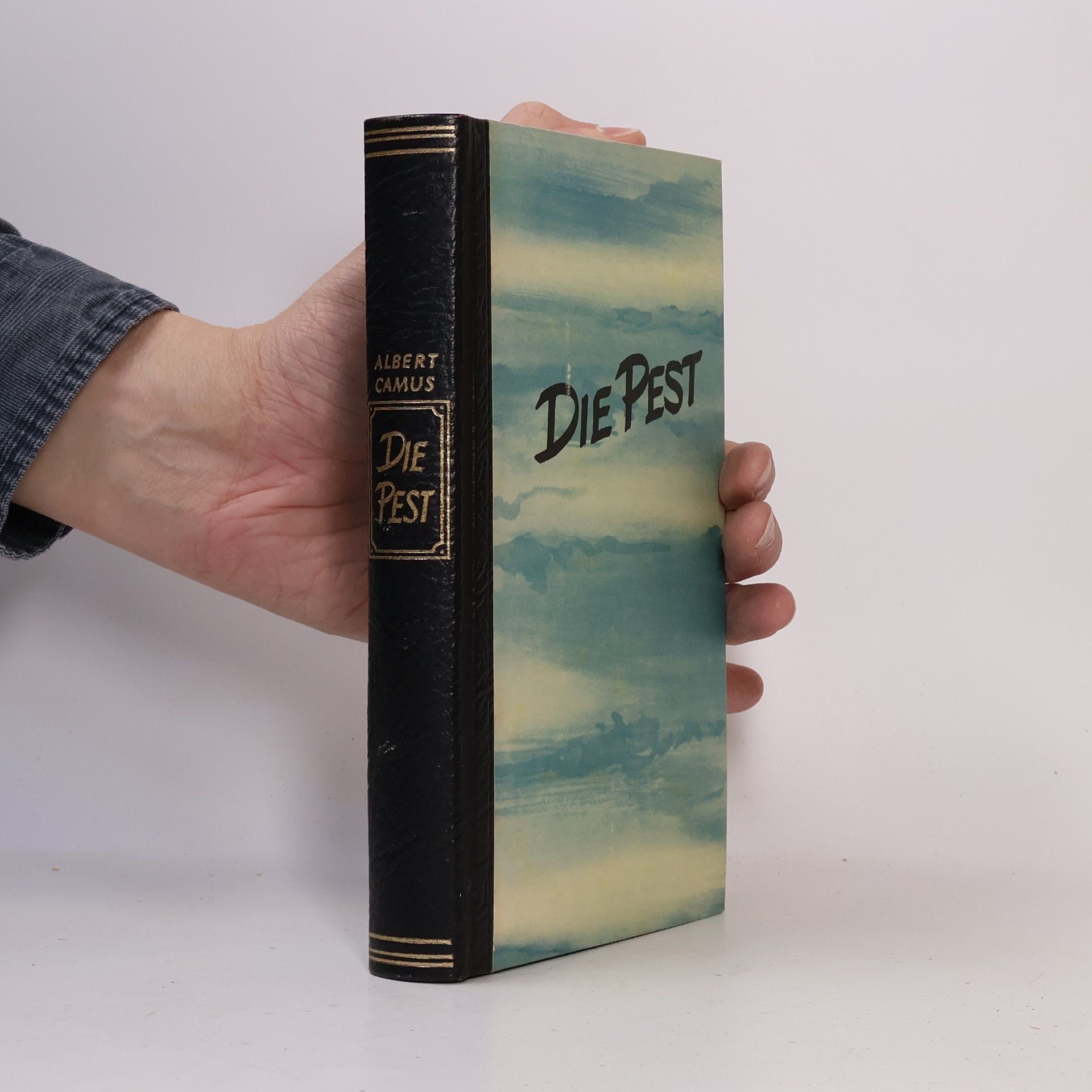 Albert Camus Die Pest